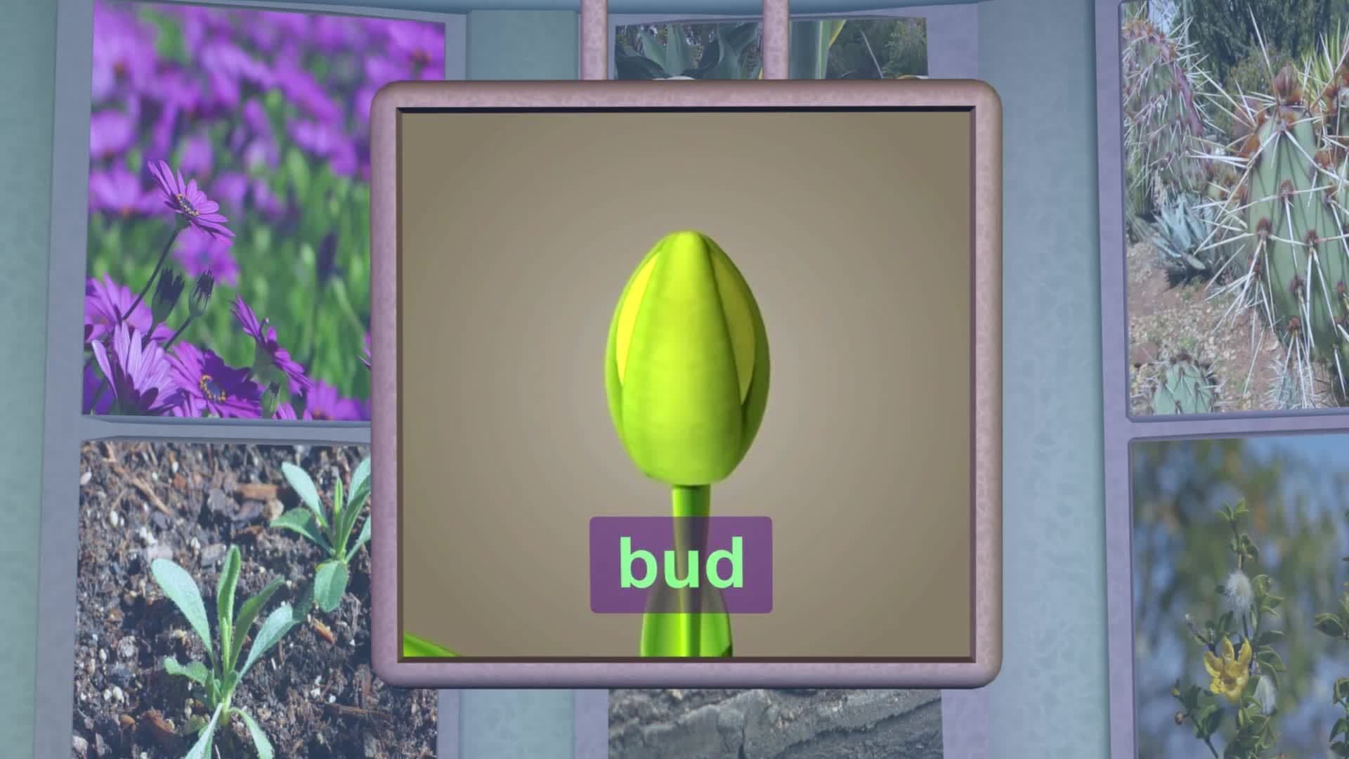 Life Science: Leaves and Flowers