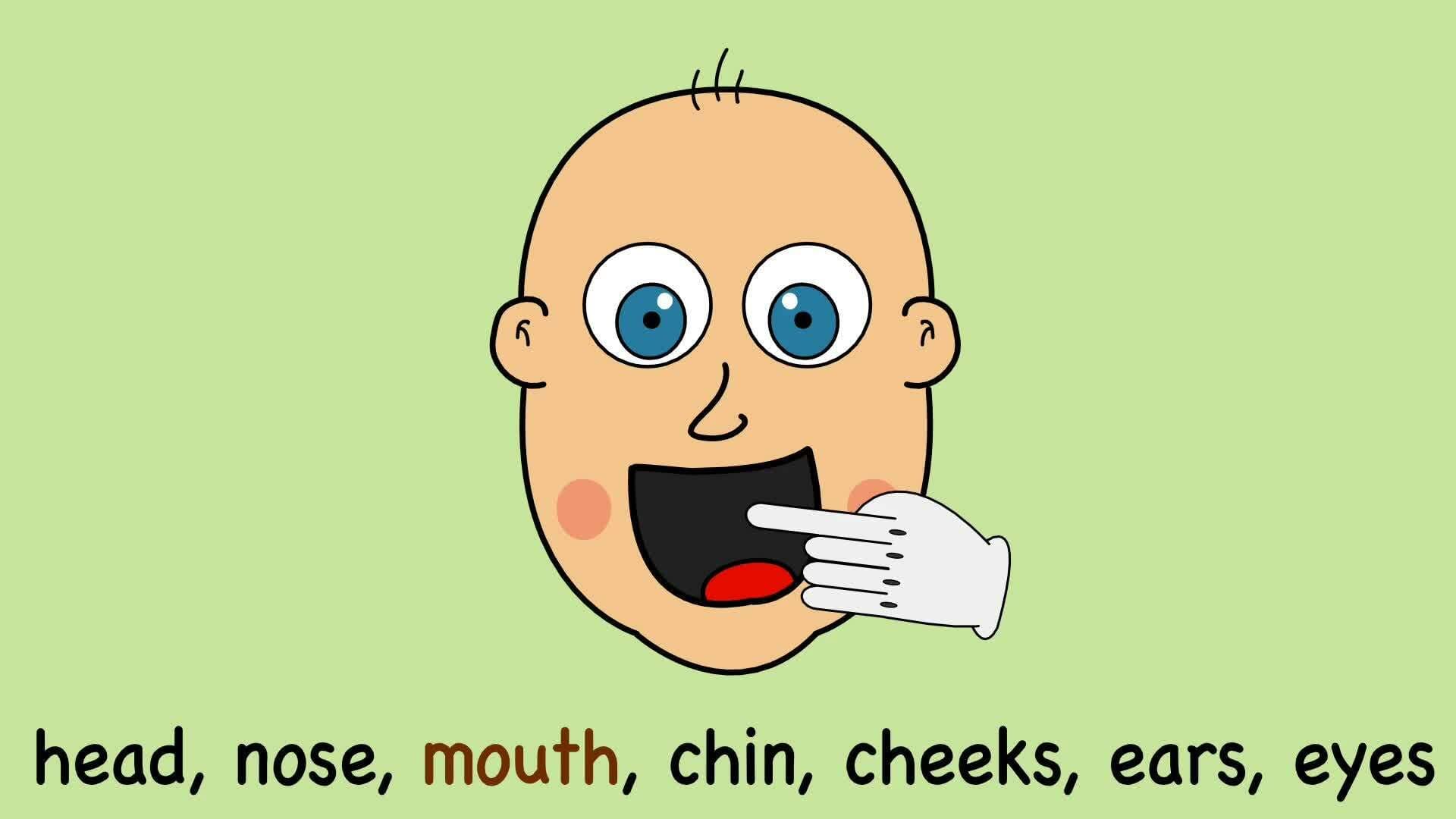 Parts Of The Face Song