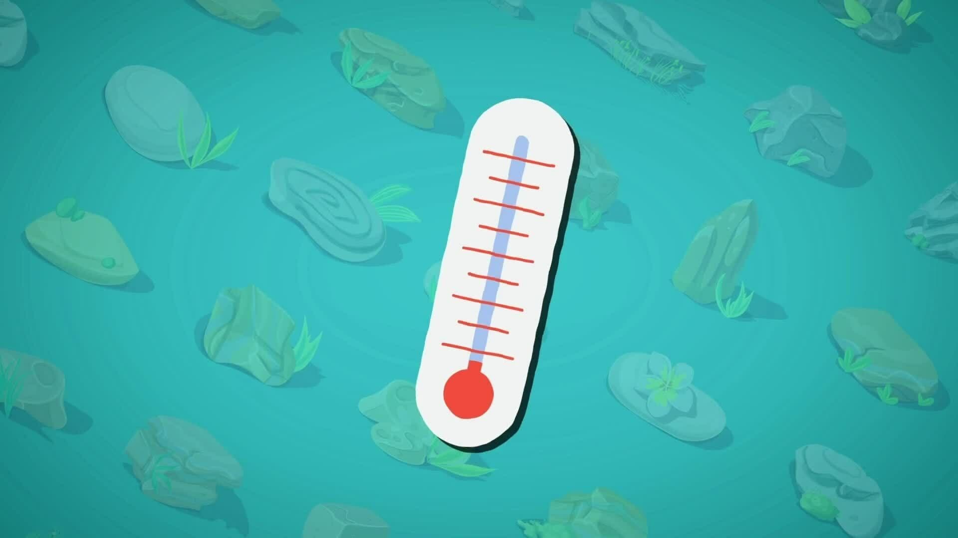 I WONDER - What Is A Metamorphic Rock?