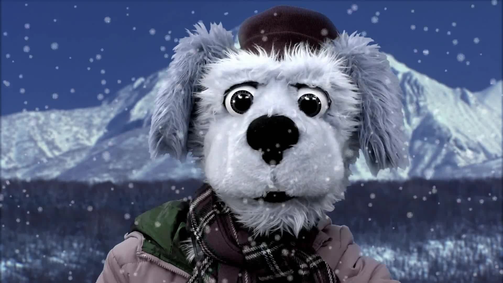 Animal Alphabet: S is for Snow Monkey