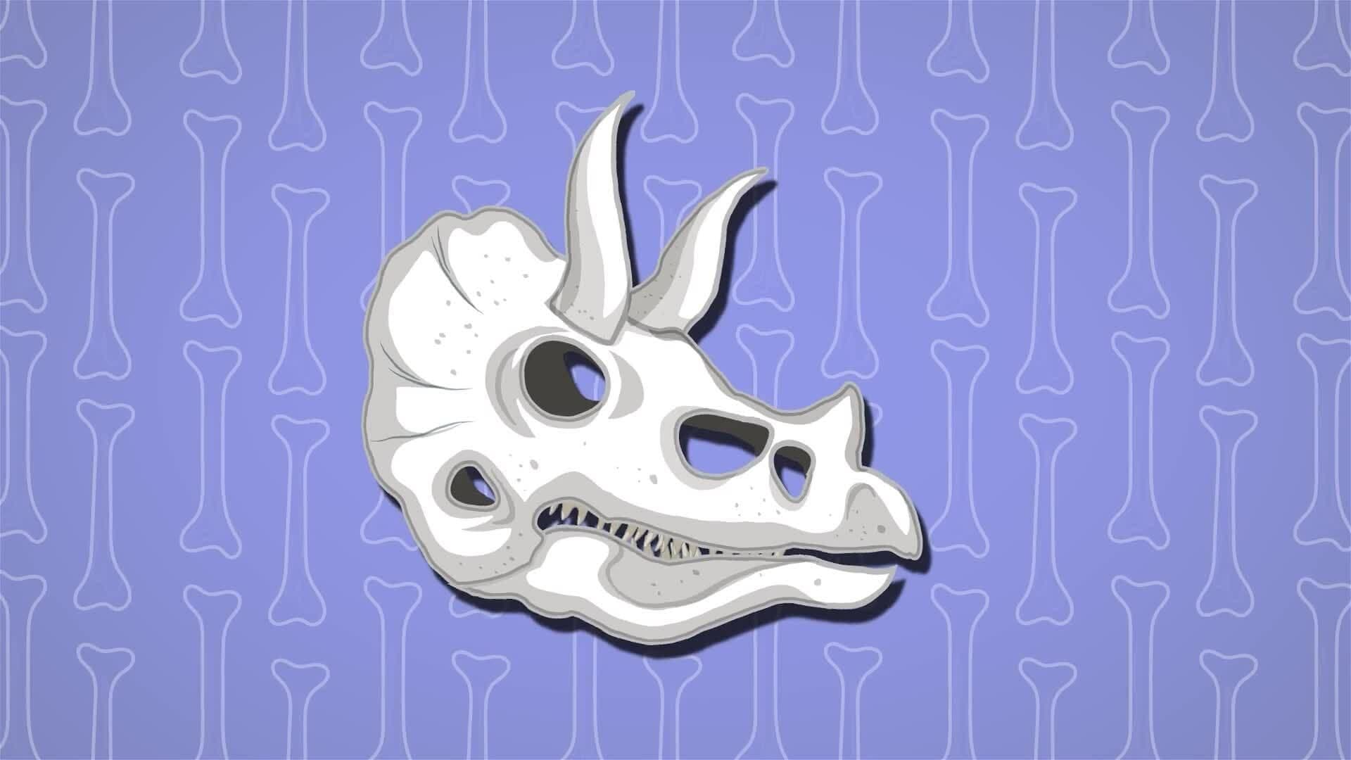 I WONDER - Are Fossils The Same As Bones?