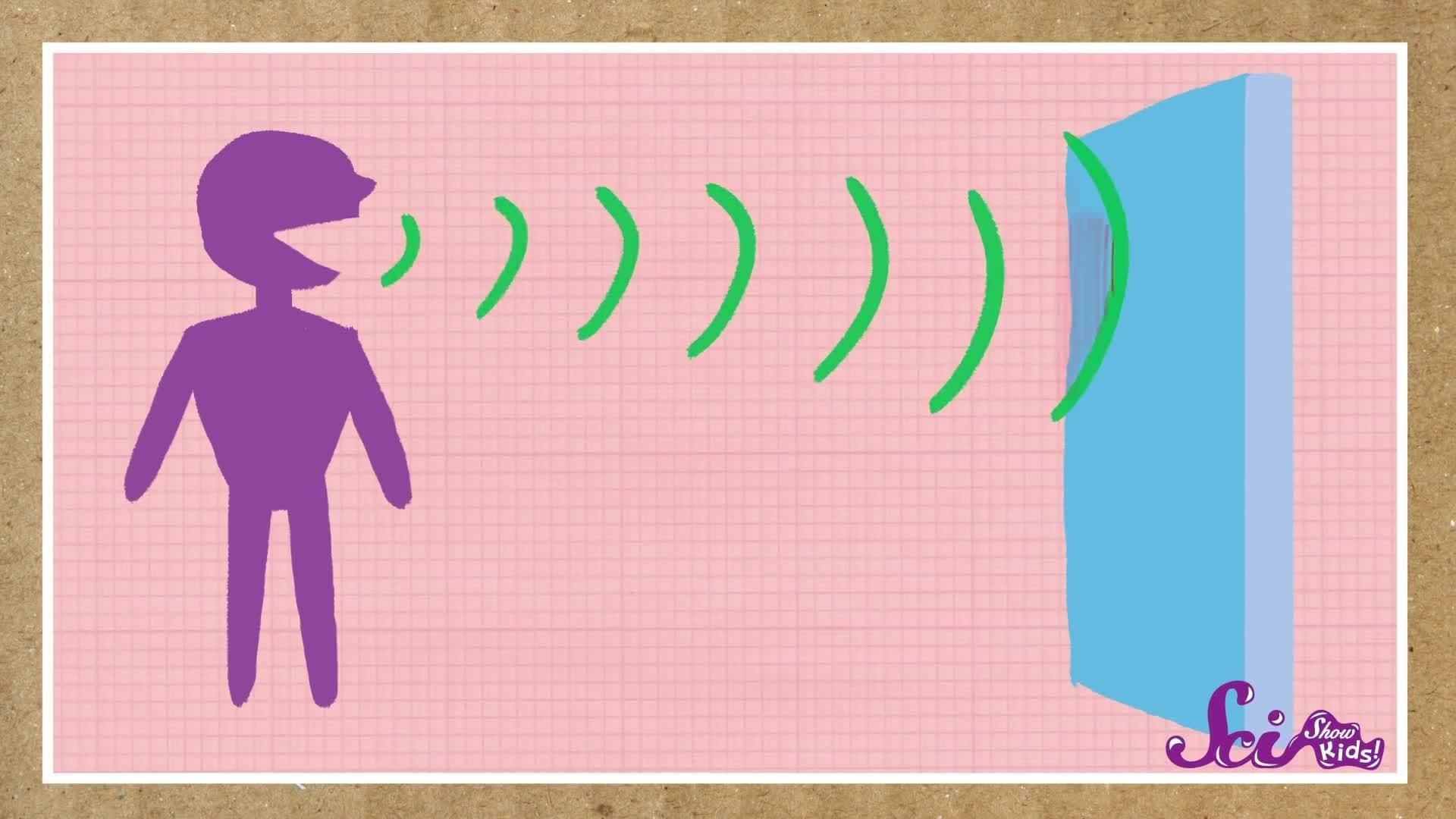 3 Fun Facts About Bats!