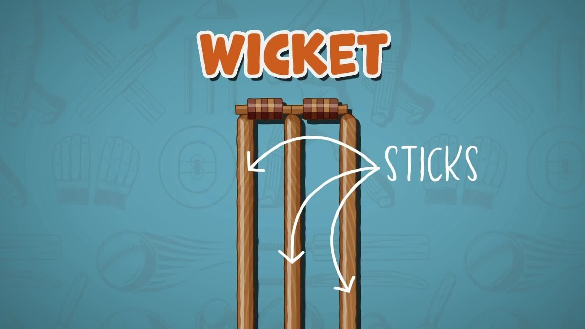 I WONDER - What Is A Wicket In Cricket?