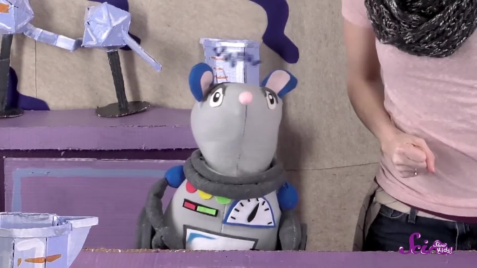 Remember to Brush Your...Egg