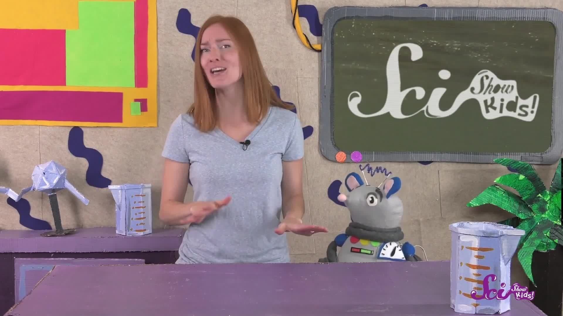 Salmon Parents Are Amazing!