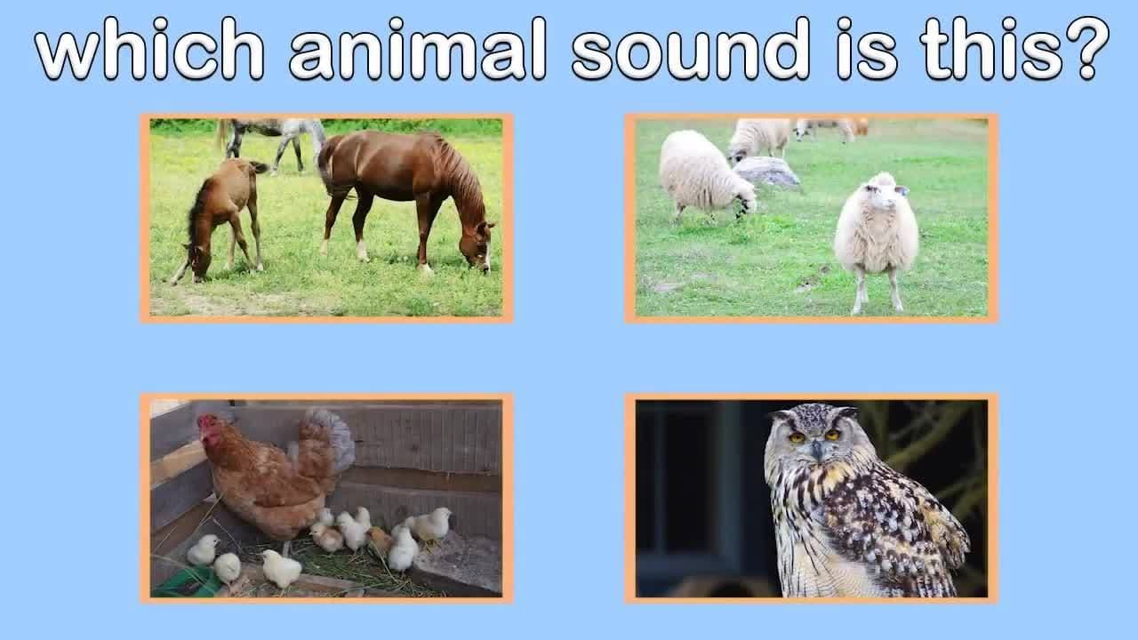 Farm Animal Sounds for Kids and Toddlers