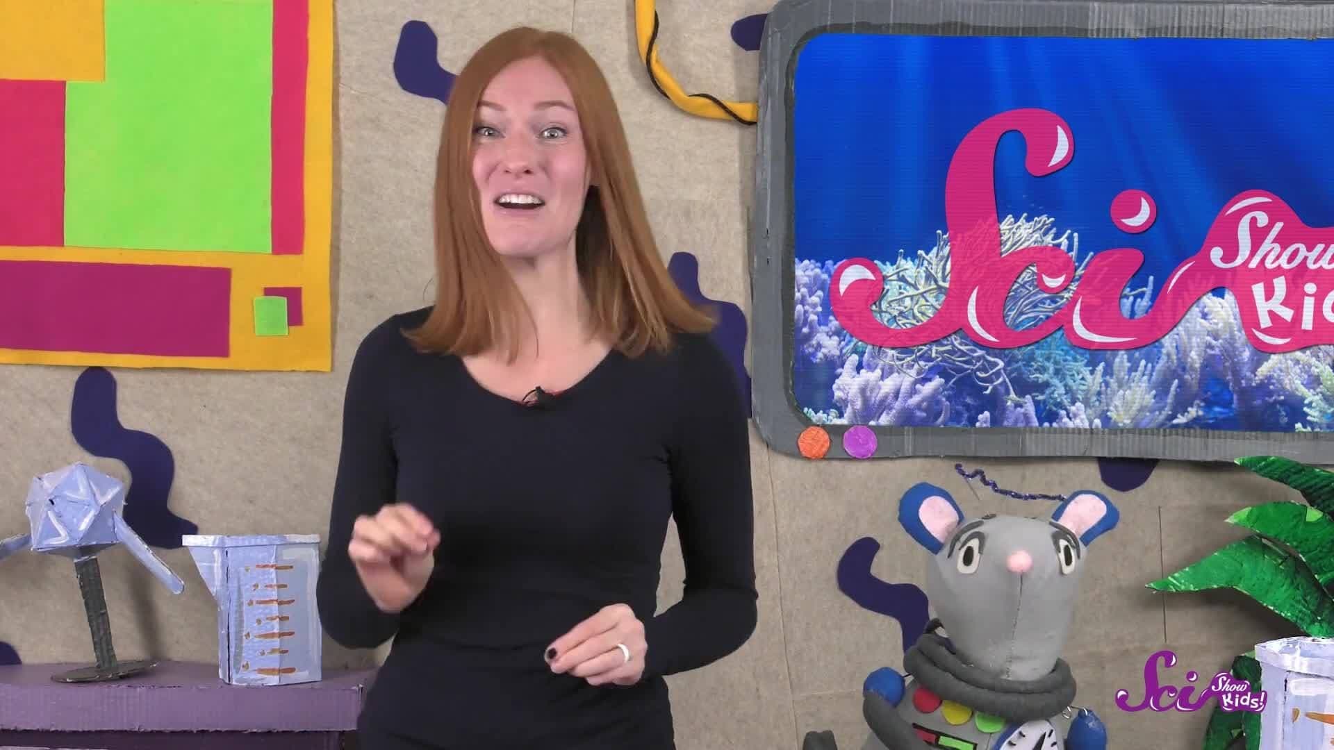 The Outrageous Octopus!