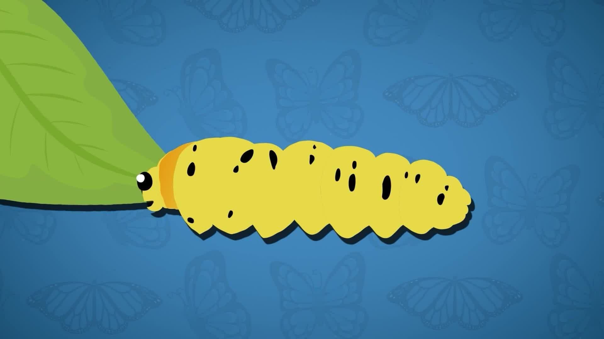 I WONDER - How Much Do Caterpillars Eat?