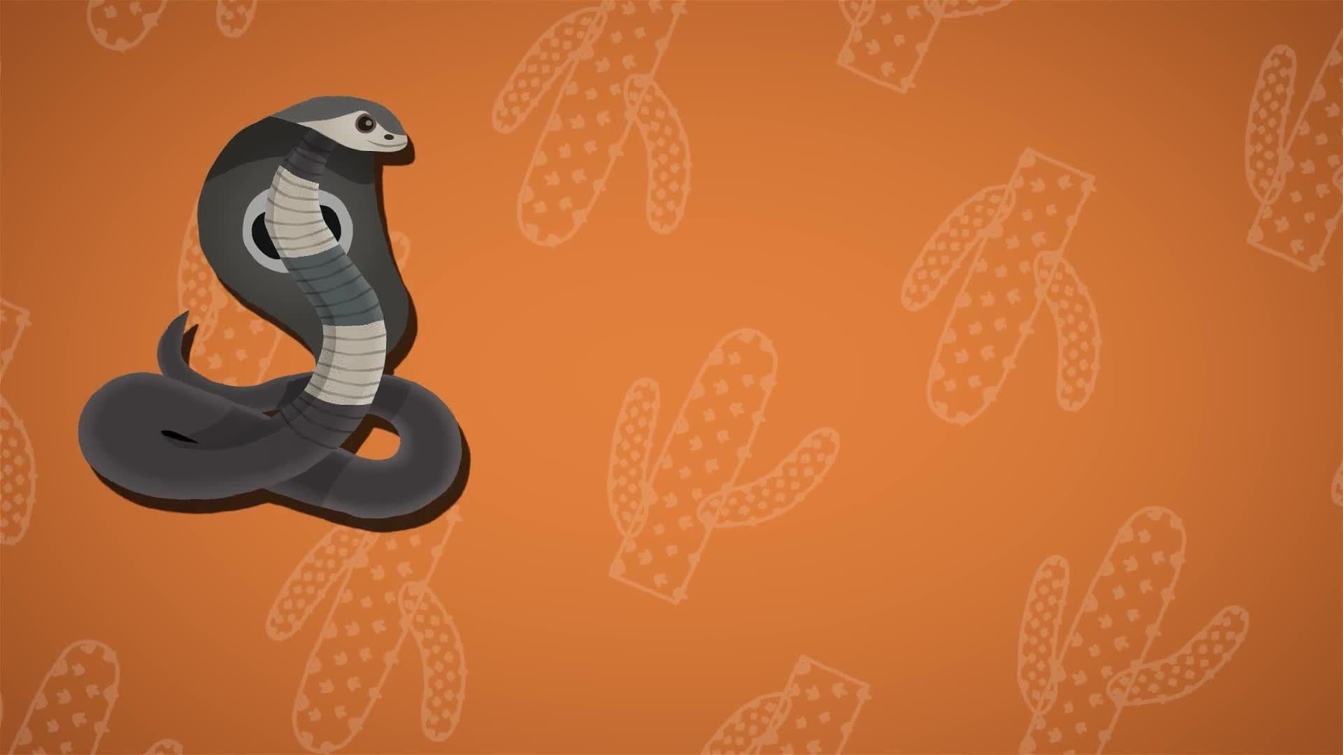 I WONDER - How Cacti Survive In The Desert?