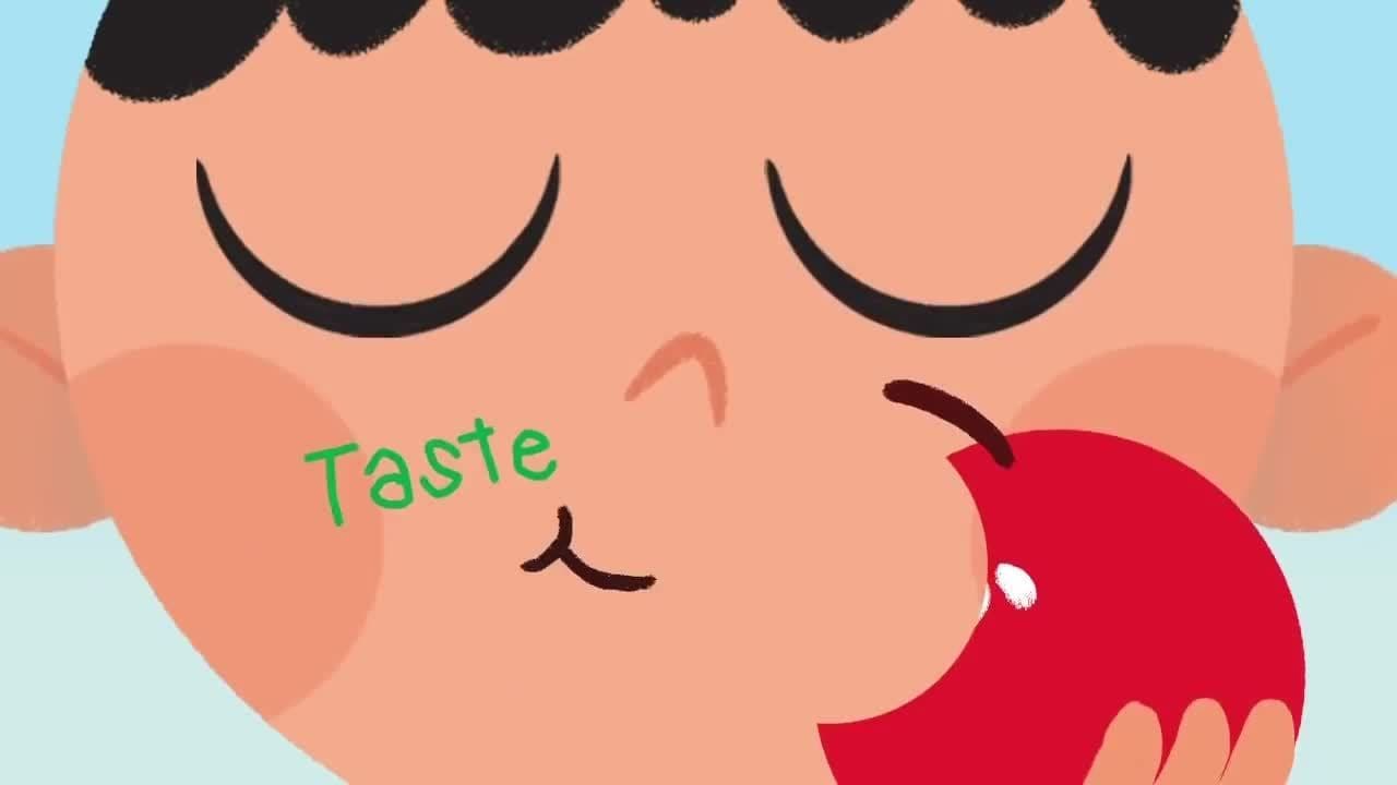 Five Senses Song | Song for Kids | The Kiboomers