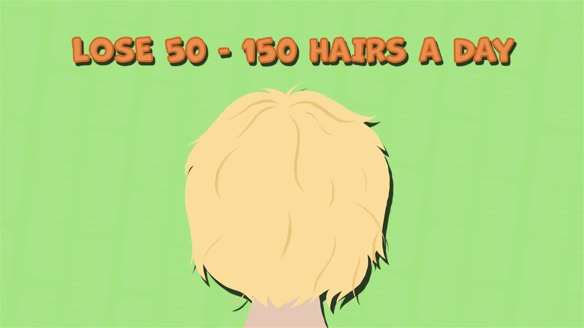 I WONDER - How Many Hairs Are On My Head?