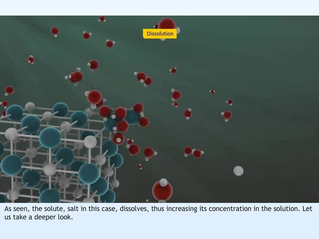Introduction to Solubility