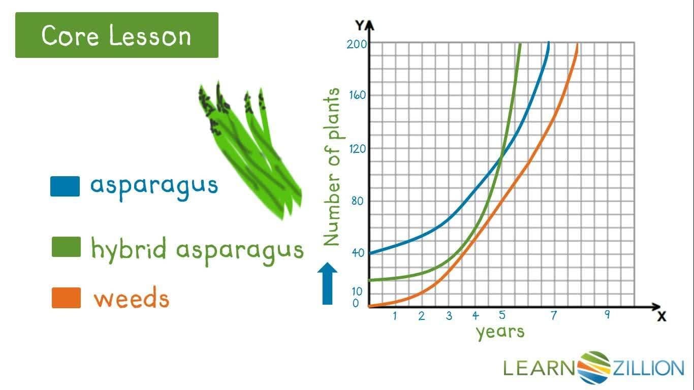 Analyzing Exponential Growth of Plants: Comparing Graphic Representations