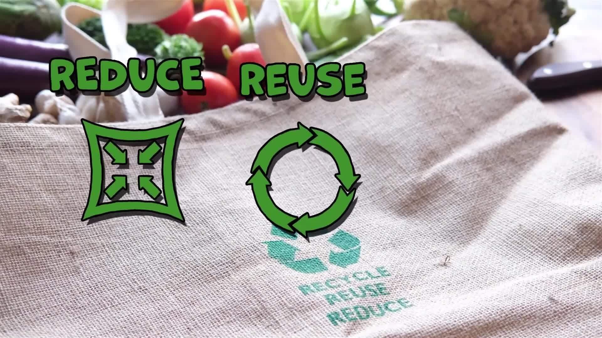 I WONDER - How Can We Prevent Deforestation?