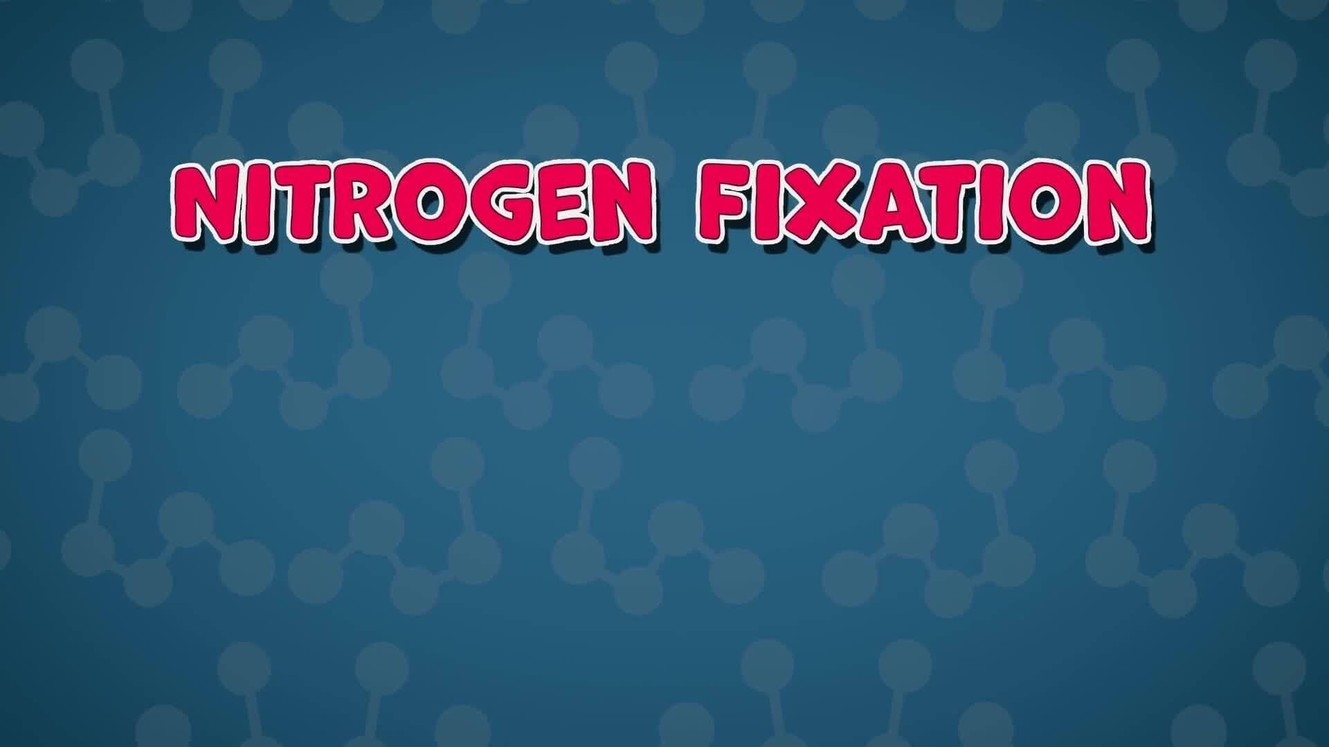 How Does it Work? - Nitrogen Cycle