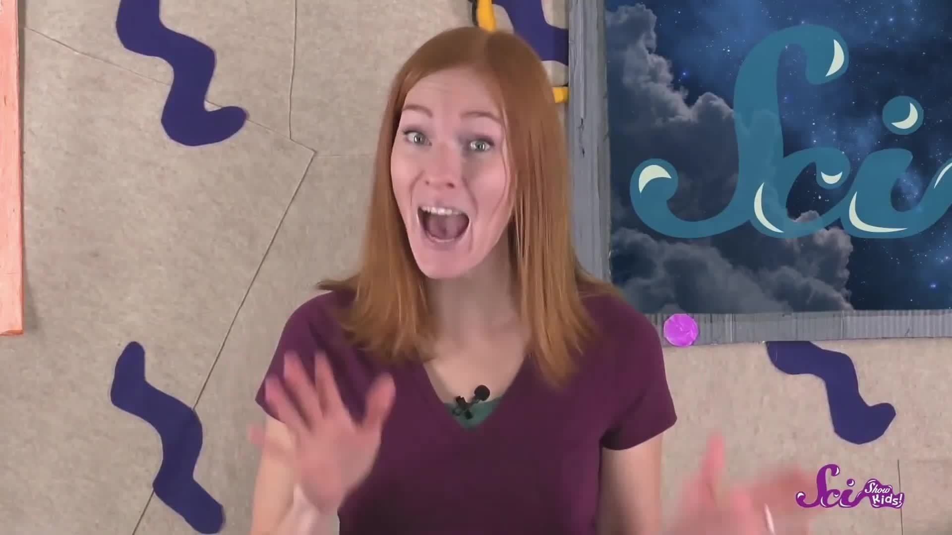 From Seasons to Salmon: All About Cycles! | SciShow Kids Compilation