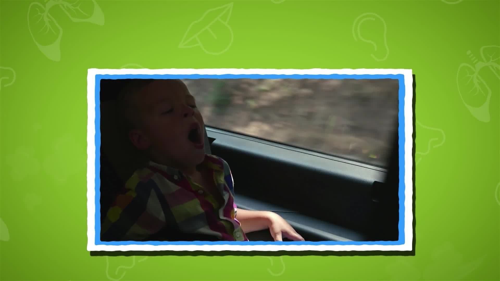 I WONDER - Why Do We Yawn?