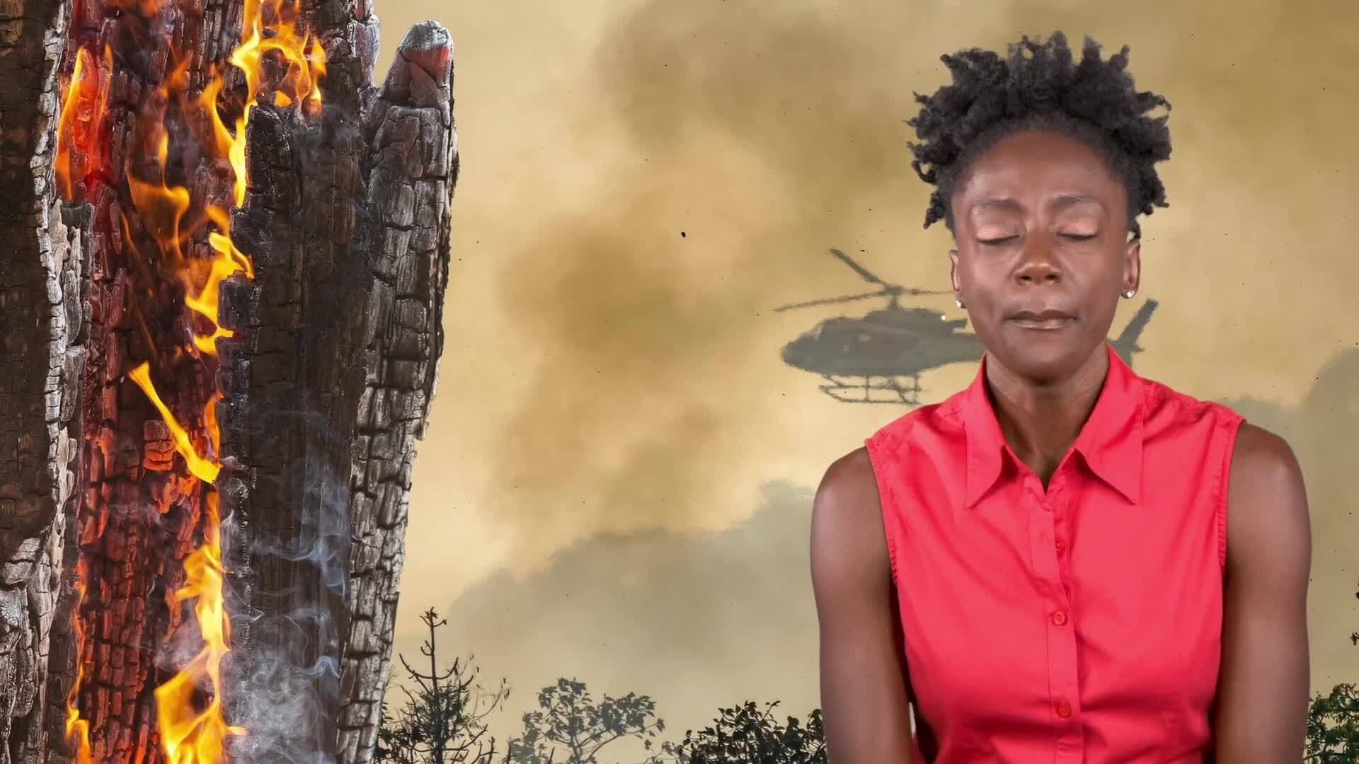 The Devastating Impact of Forest Fires Amplified by Climate Change