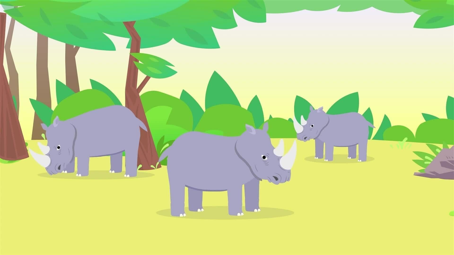 I WONDER - How Big Are Rhinos?