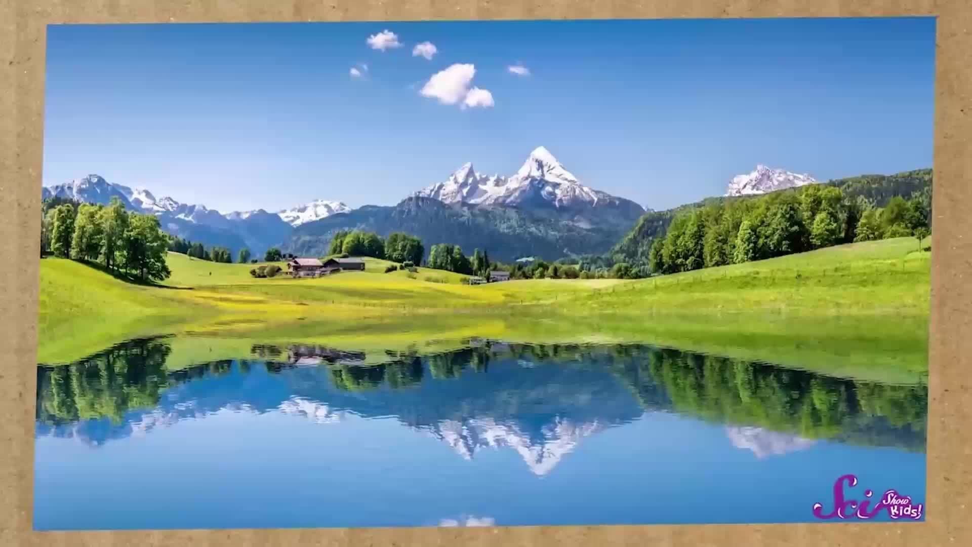 The Science of Spring!