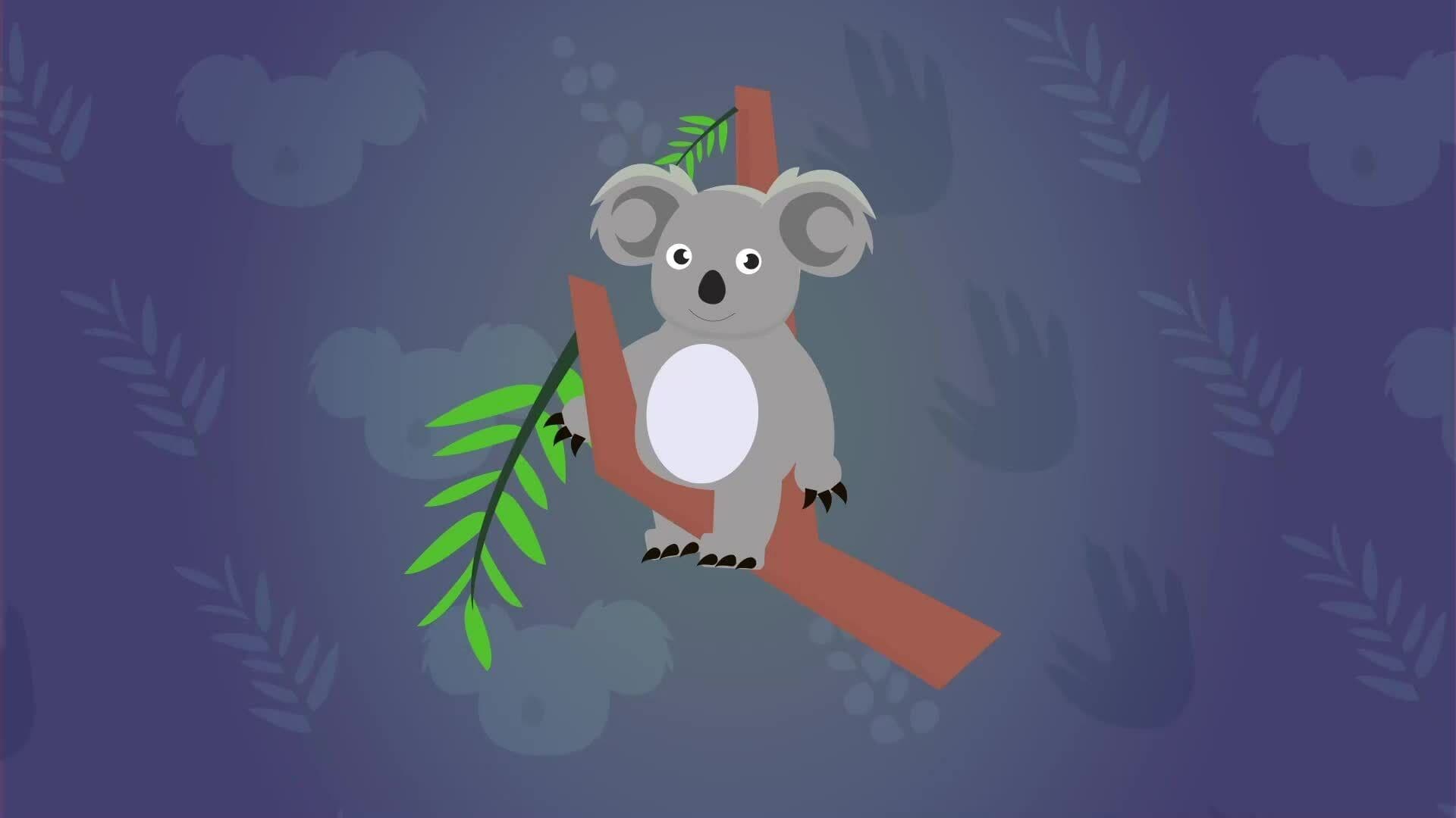 I WONDER - How Do Koalas Manage To Sit All Day?