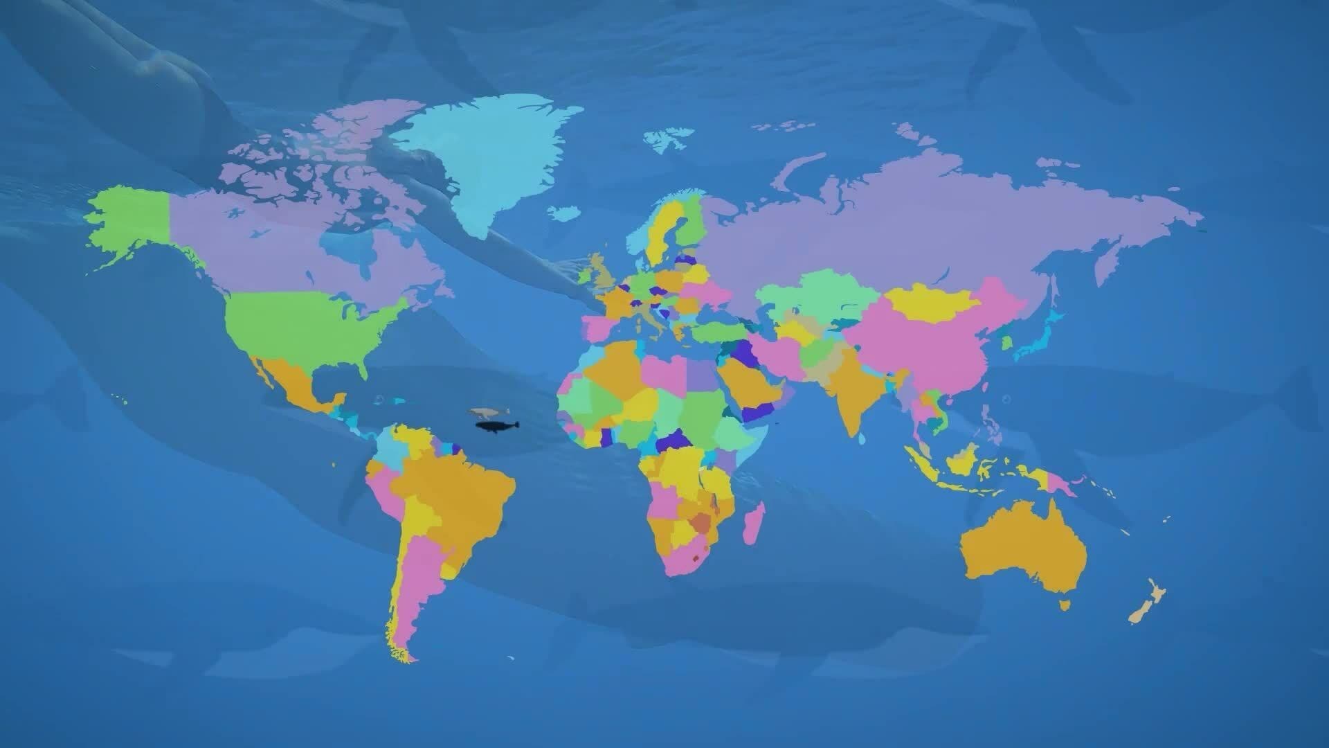 I WONDER - Do Whales Migrate?