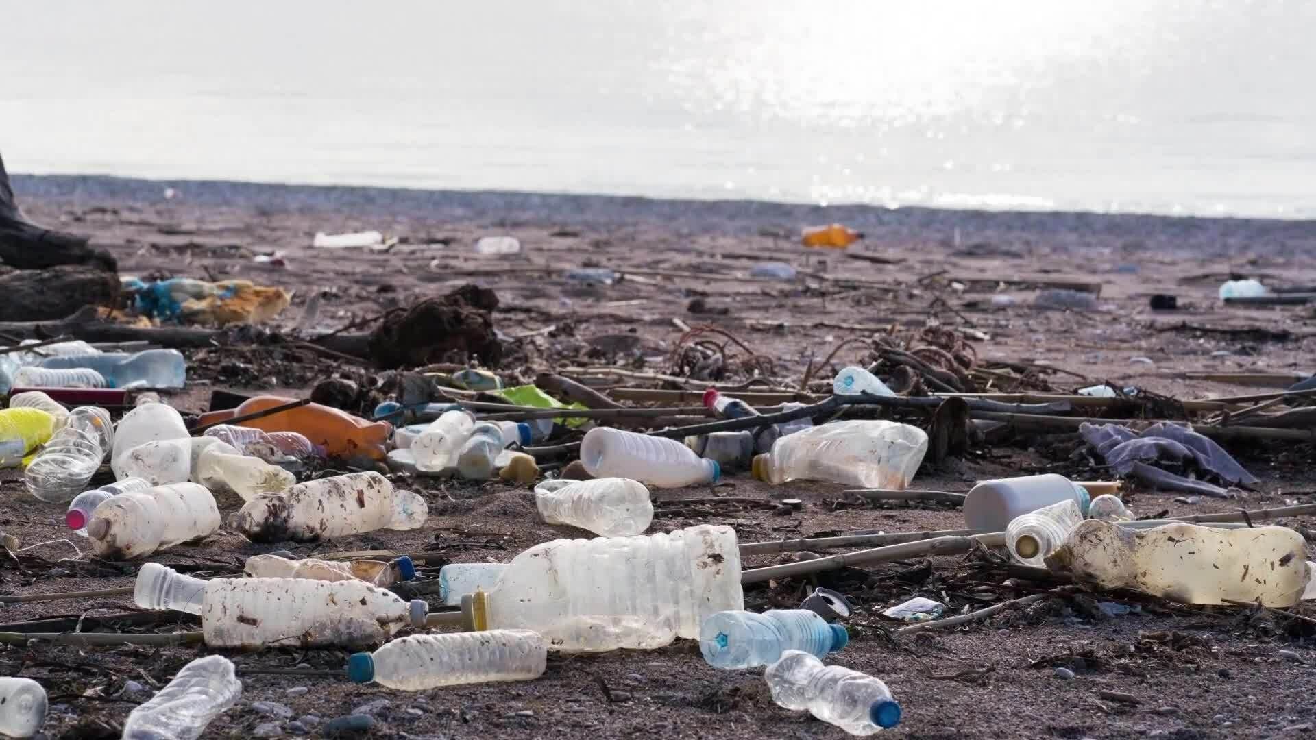 I WONDER - How Can Recycled Plastic Be Reused?