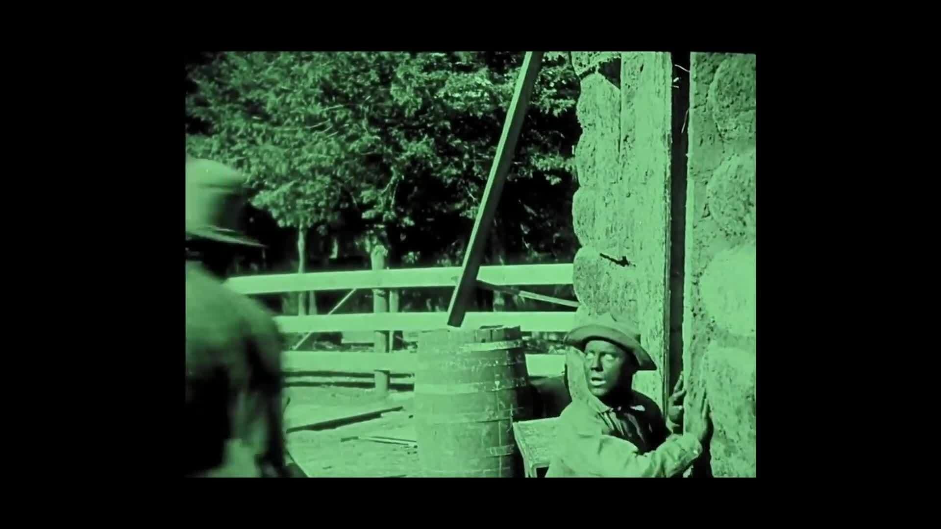 The Rise and Fall of Freedmen's Towns and the Red Summer