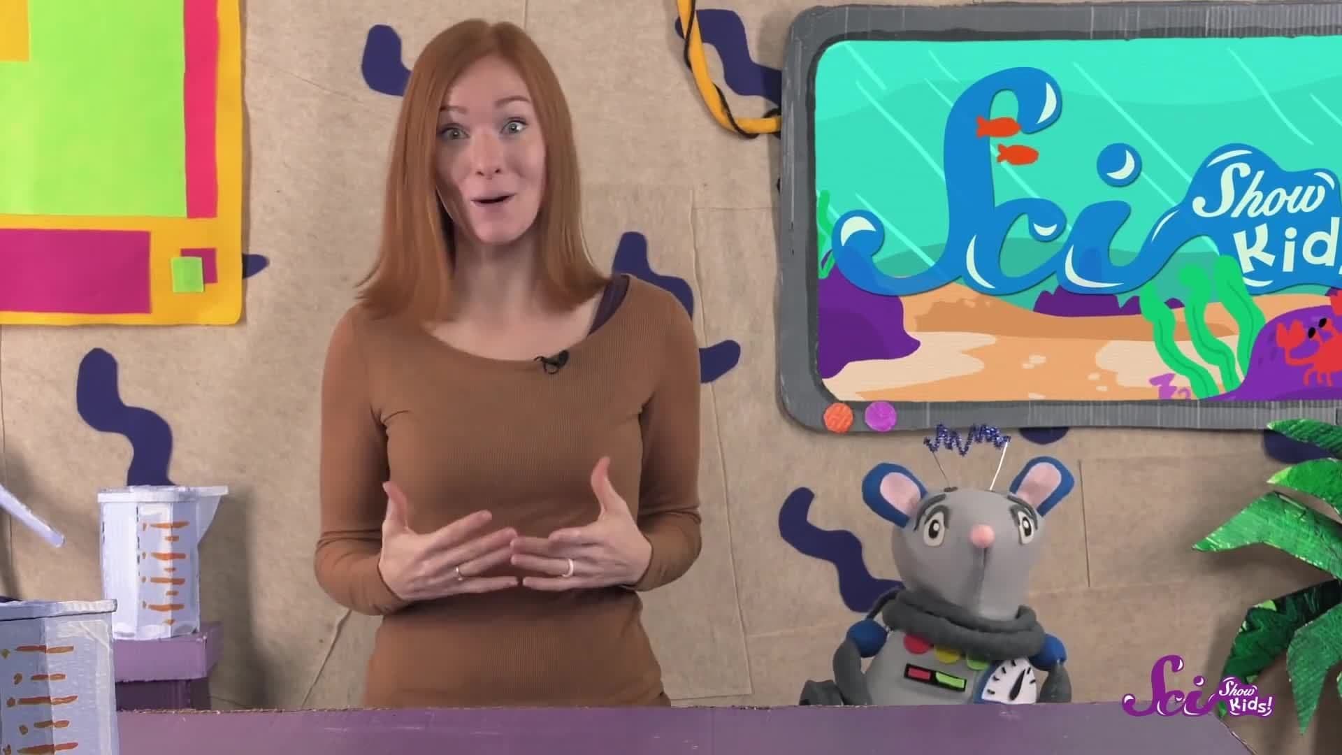 Do Fish Drink Water?