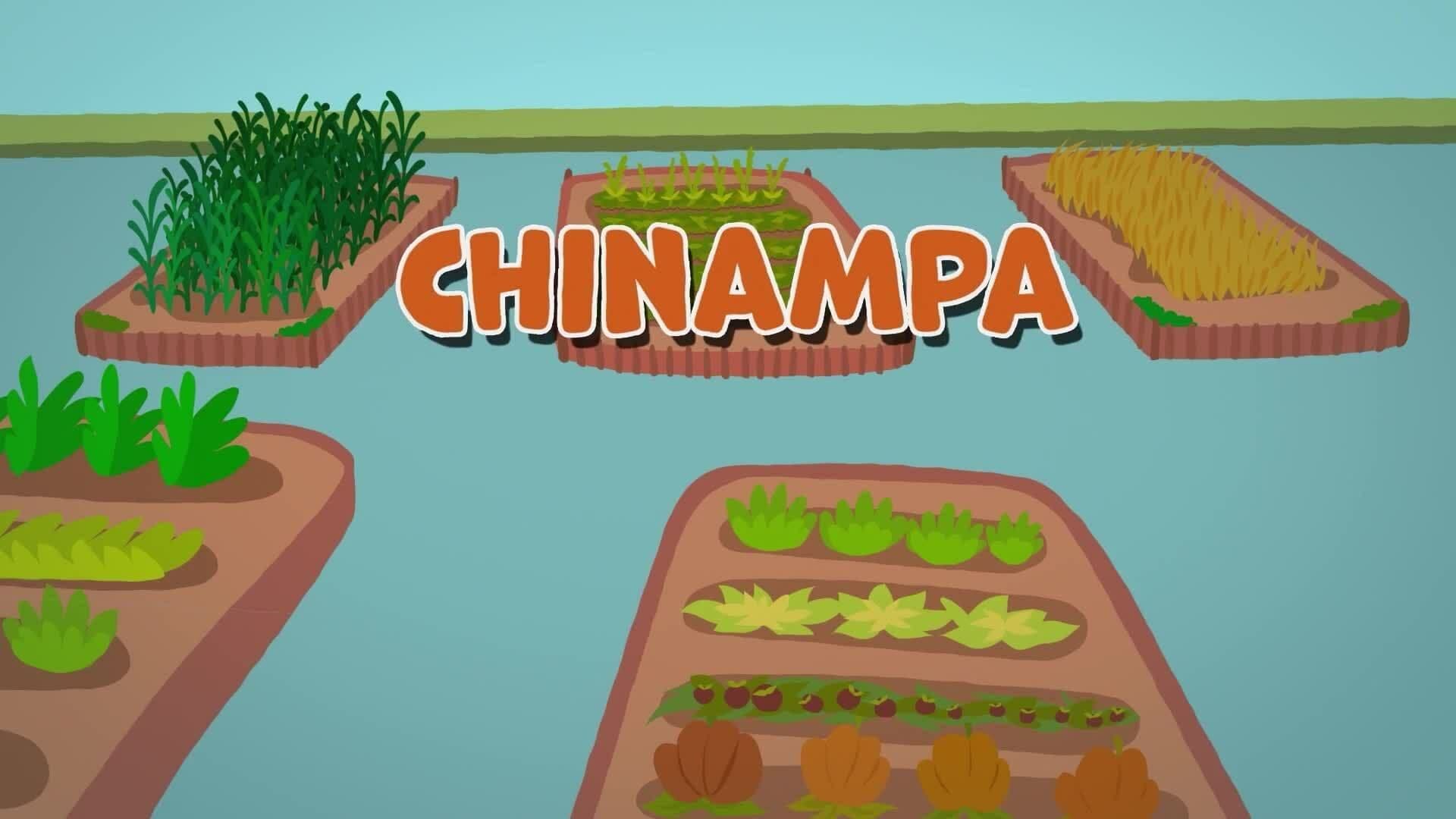 I WONDER - How Did Aztecs Grow Crops?