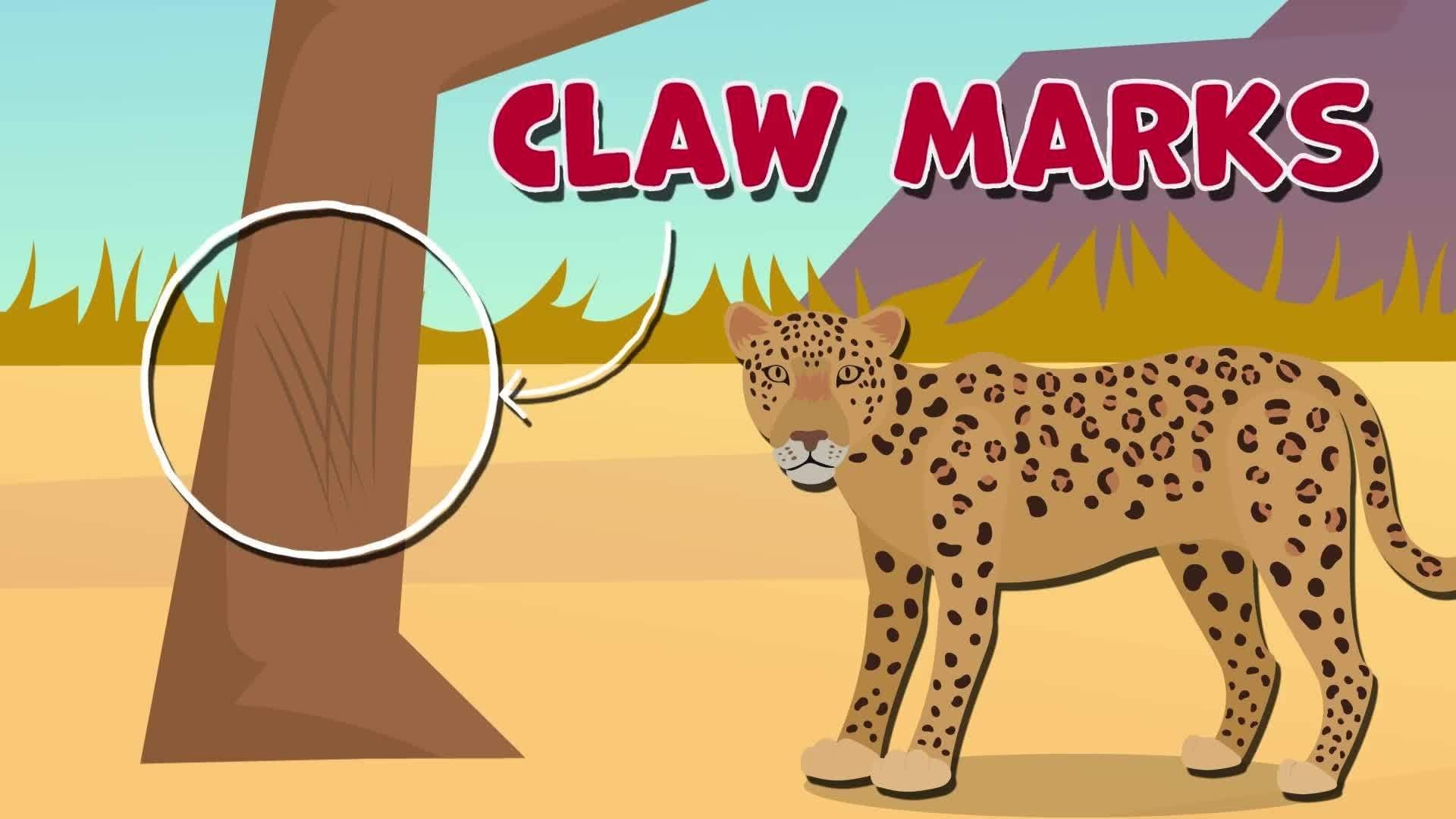 Leopard Facts