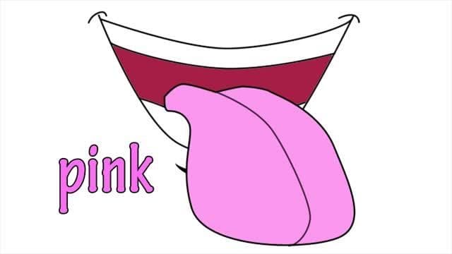 The Colors Song in English