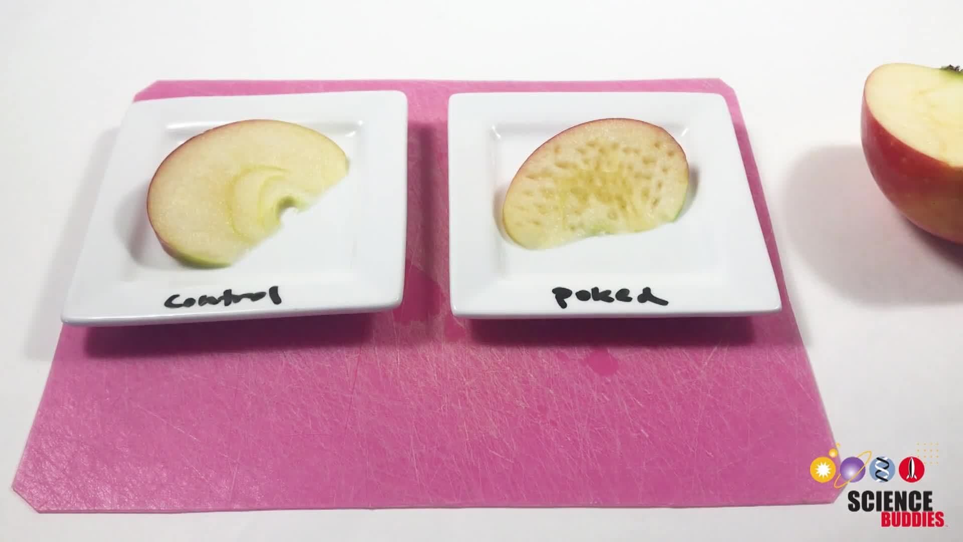 Fruits Gone Bad? Discover Enzymatic Browning