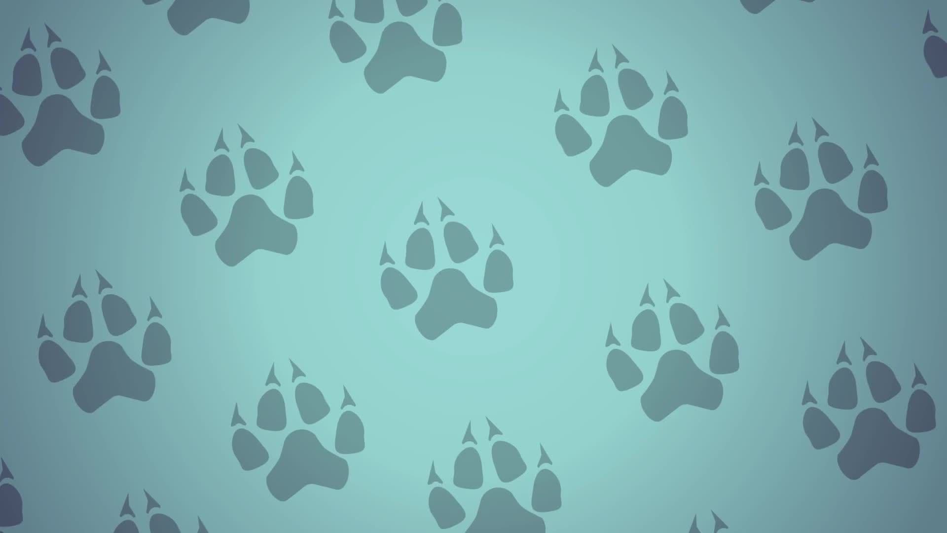 Wolf Facts for Kids