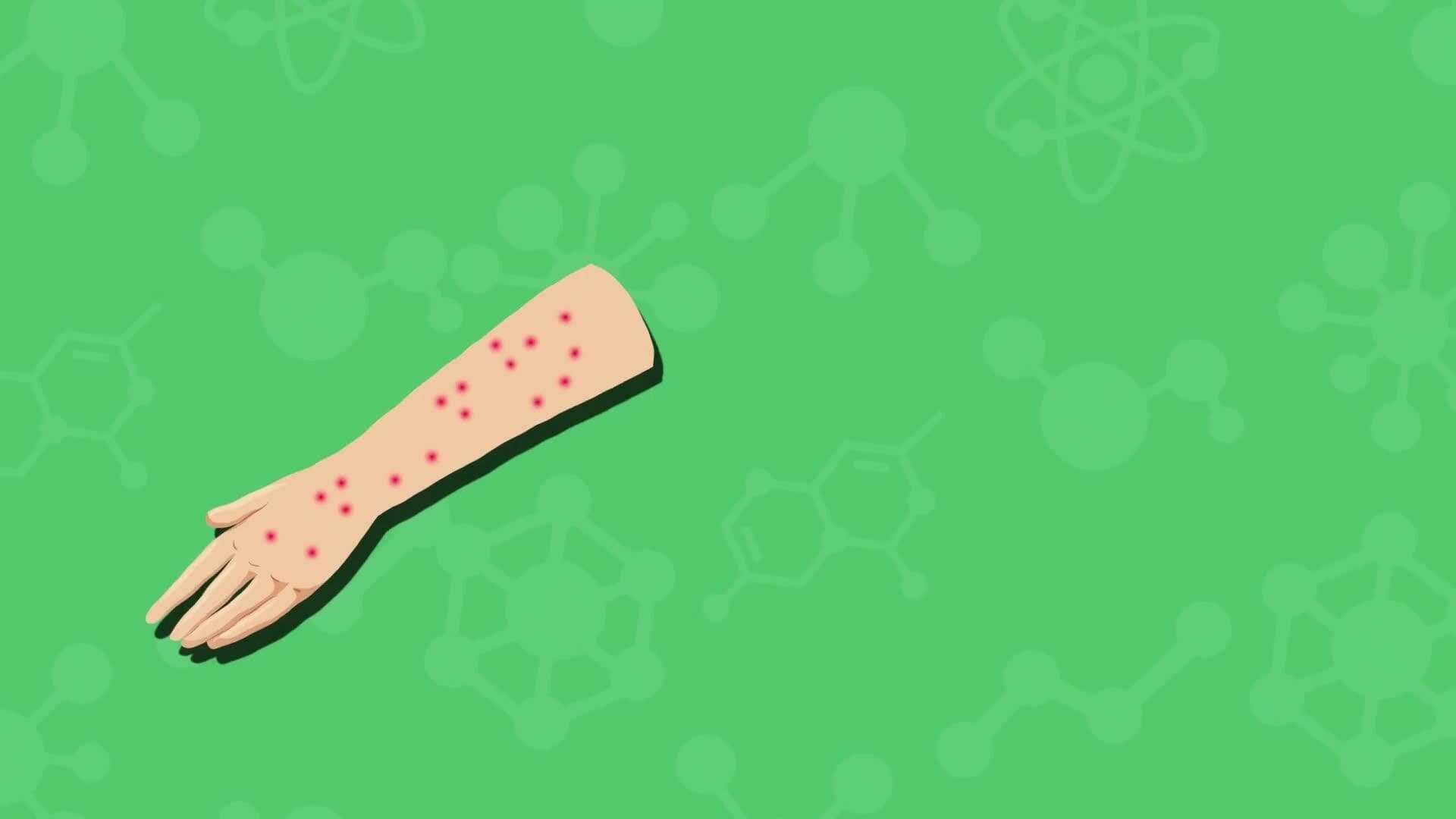 High Five Facts - Viruses