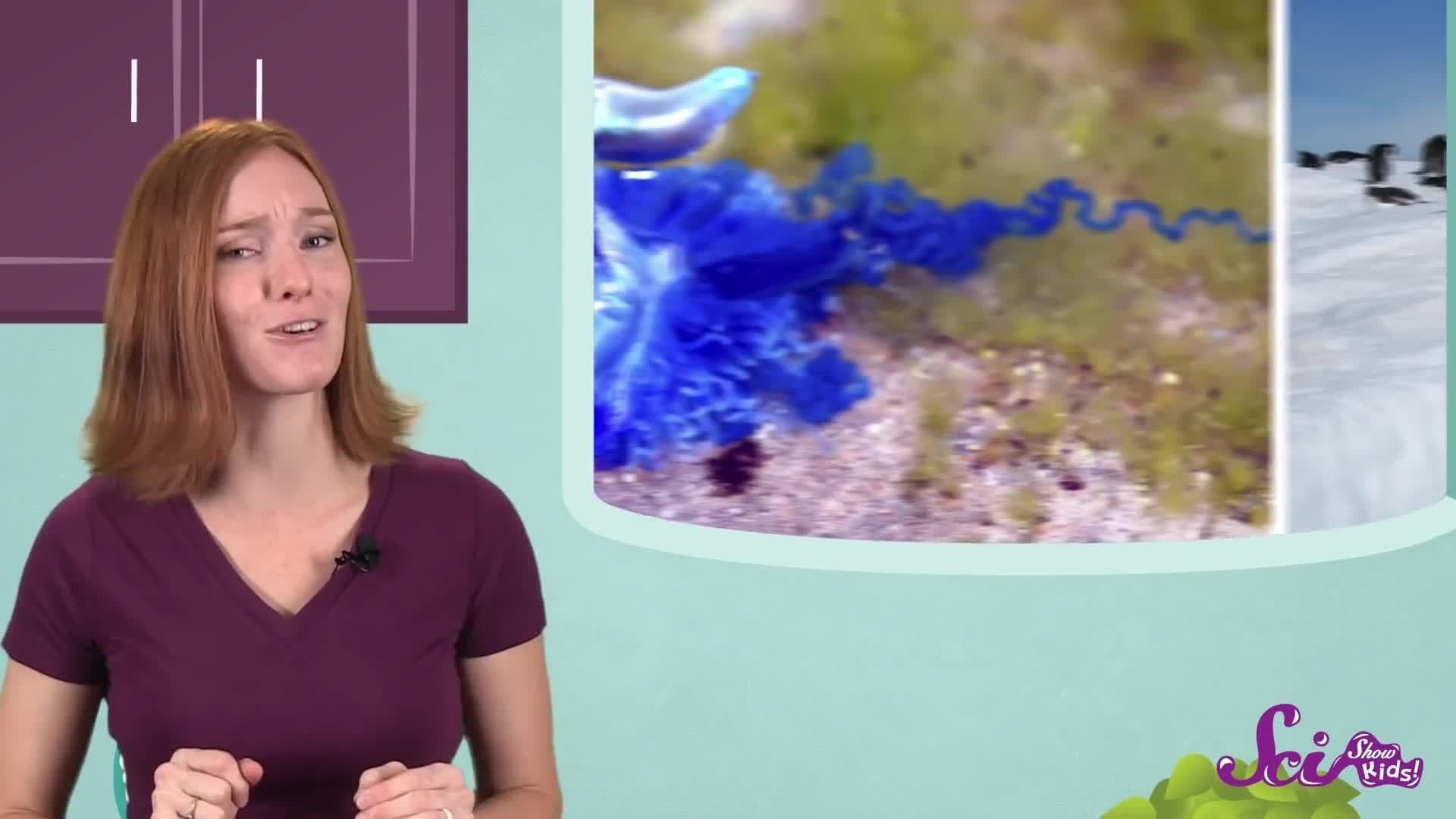 Biologists! Scientists Who Love Life!