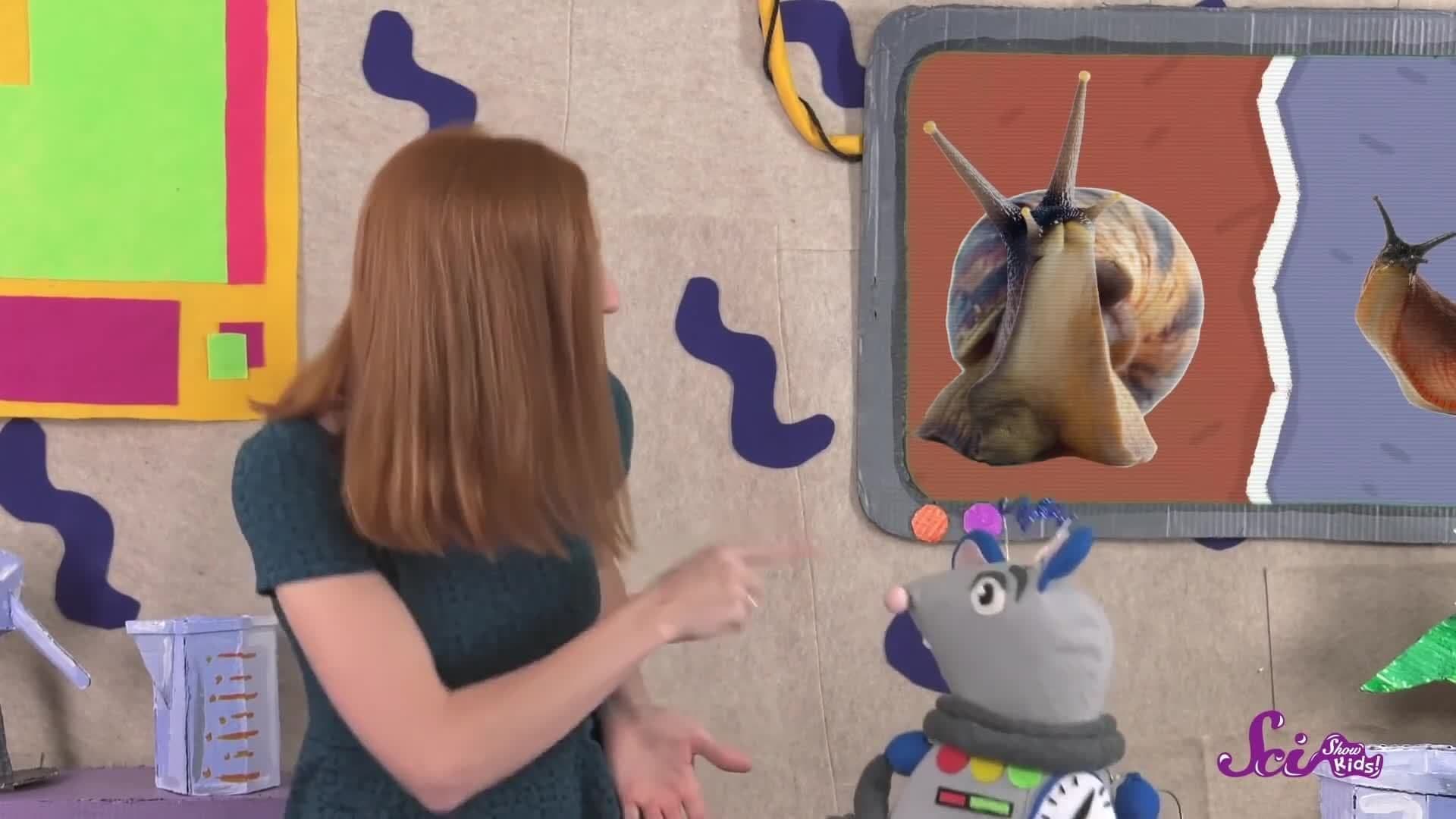 Snails, Slugs, and Slime! Animal Science for Kids