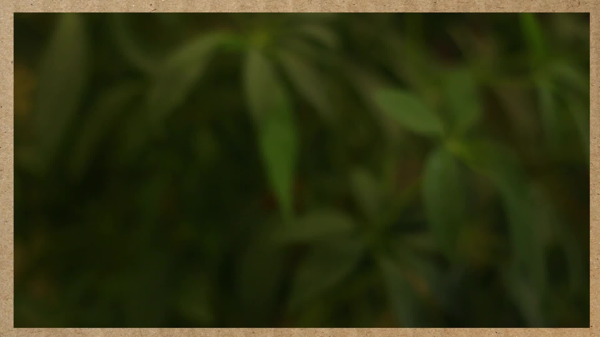 Why Is the Sky Blue?