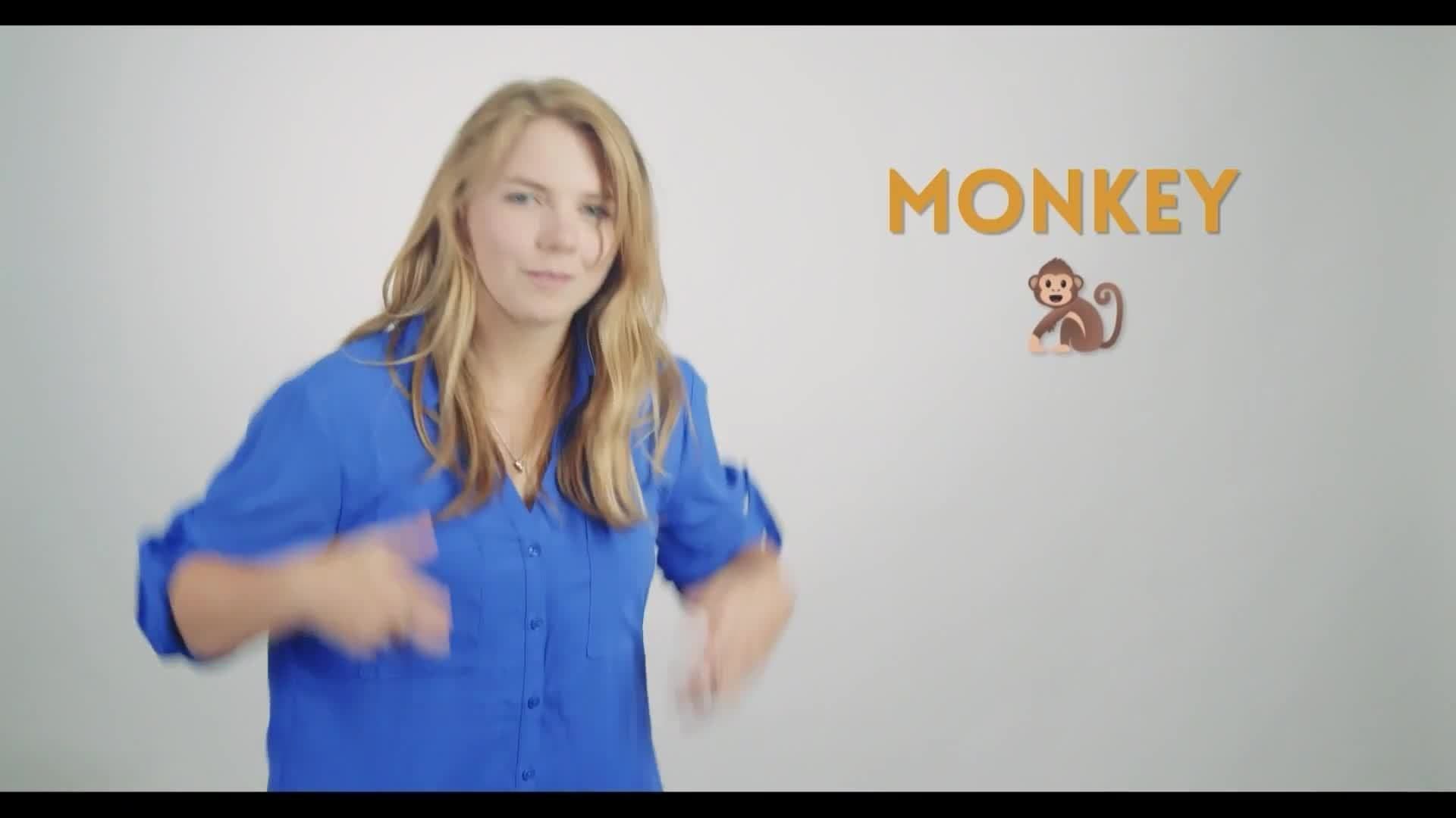 ASL- Land Animals Vocabulary