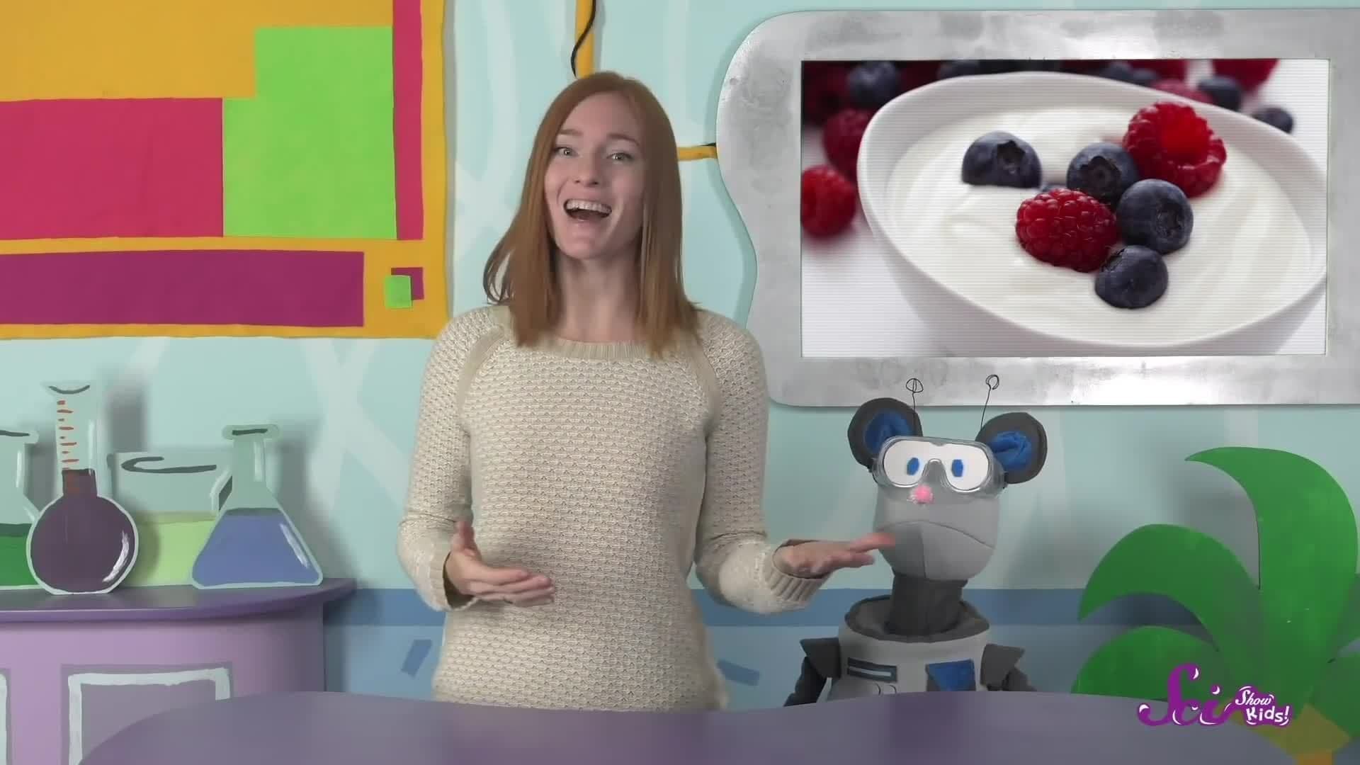 Where Does Yogurt Come From?