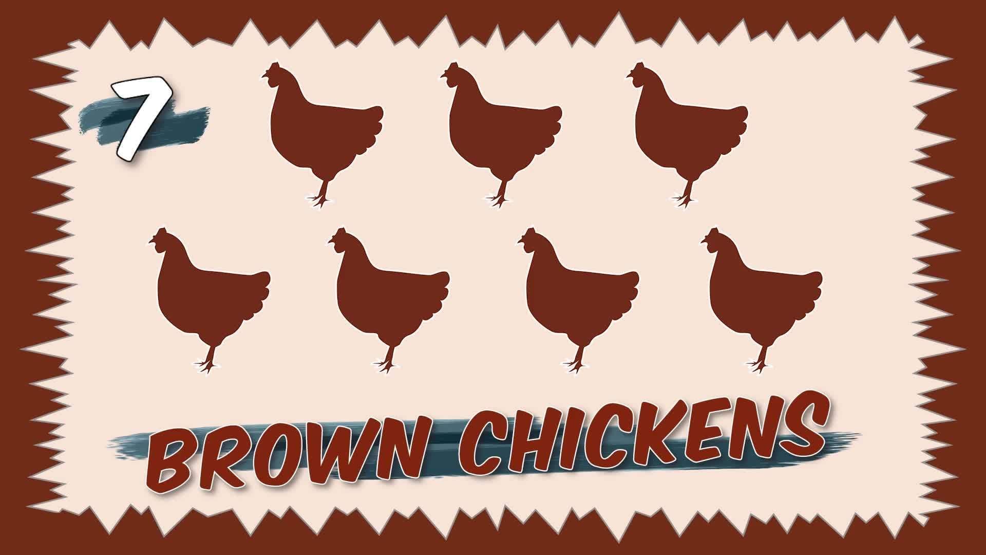 Animals, Colors and Numbers