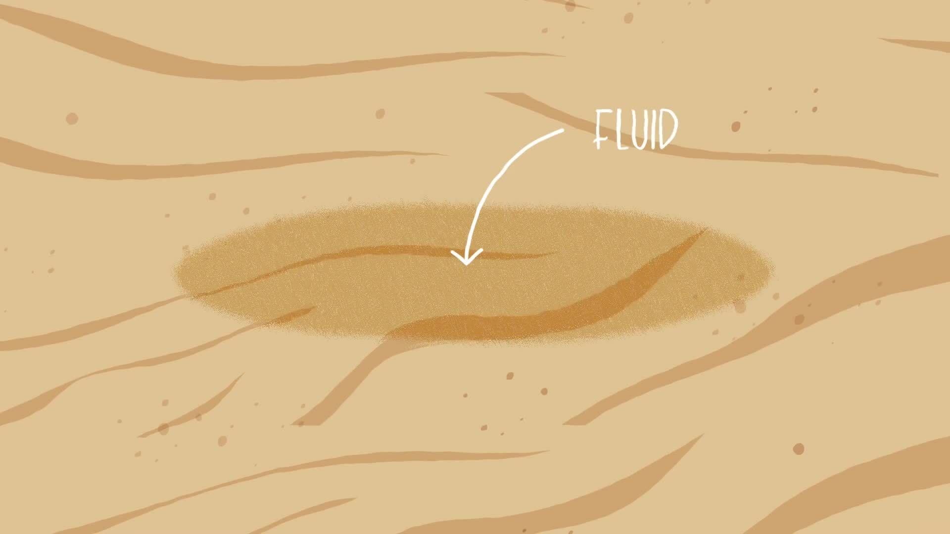 High Five Facts - Quick Sand