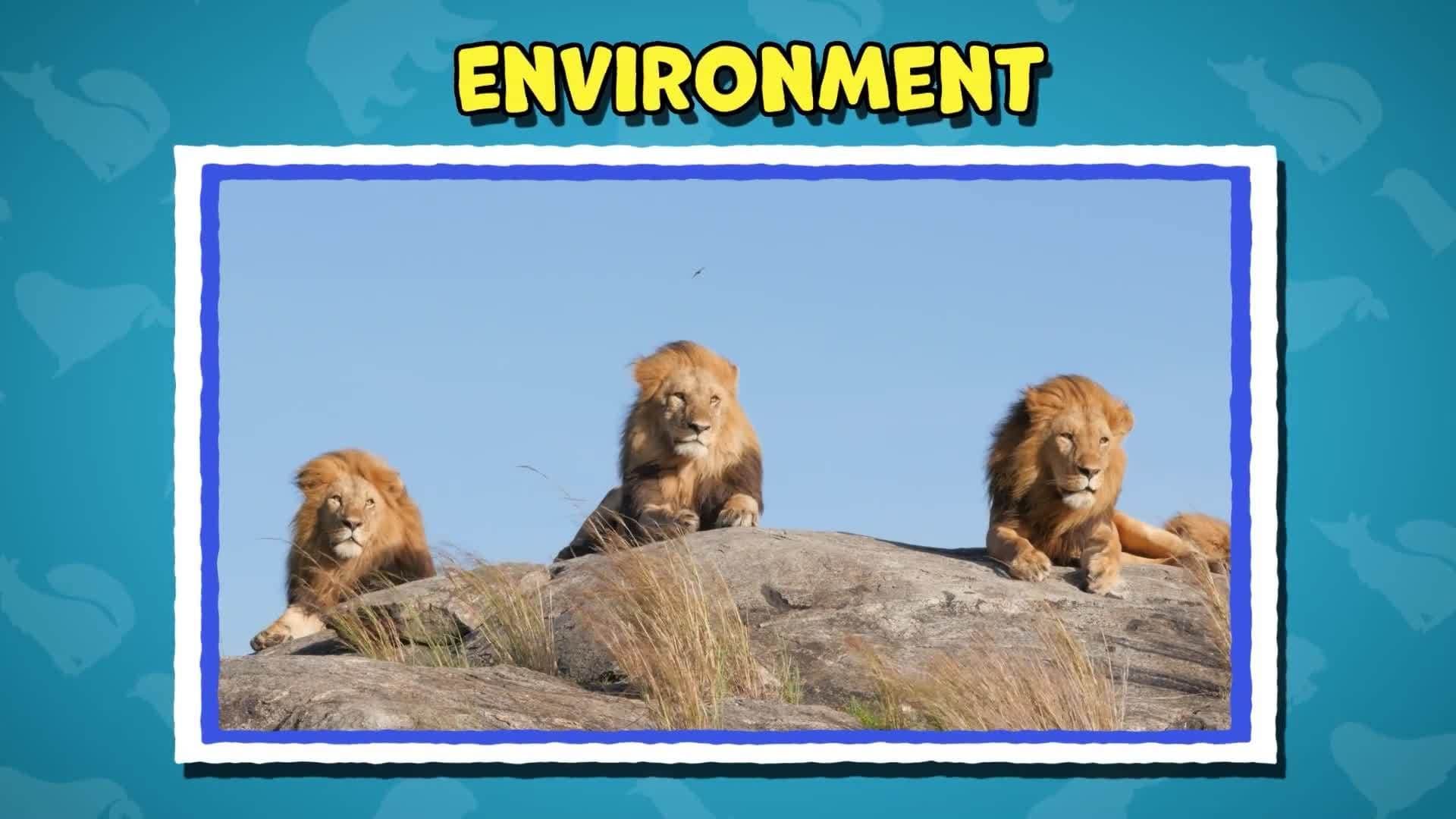 Five Facts - Mammals