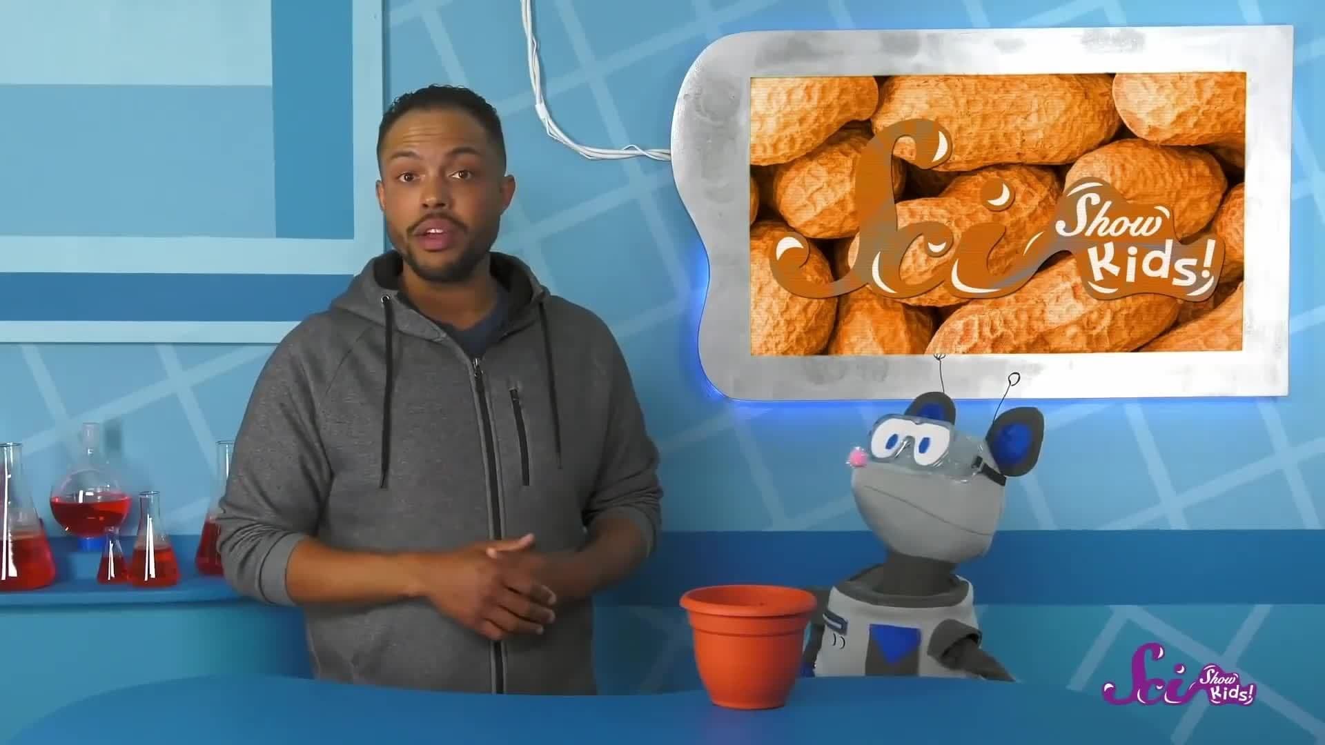 Amazing Scientist Story Time! | SciShow Kids Compilation