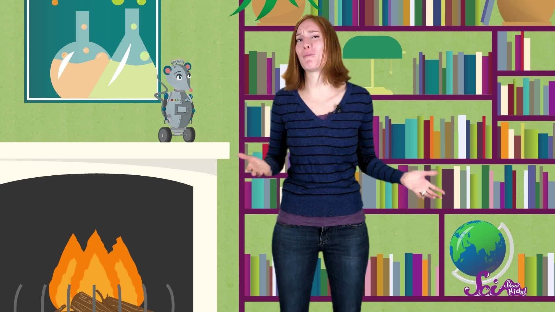 Amazing Animal Groups