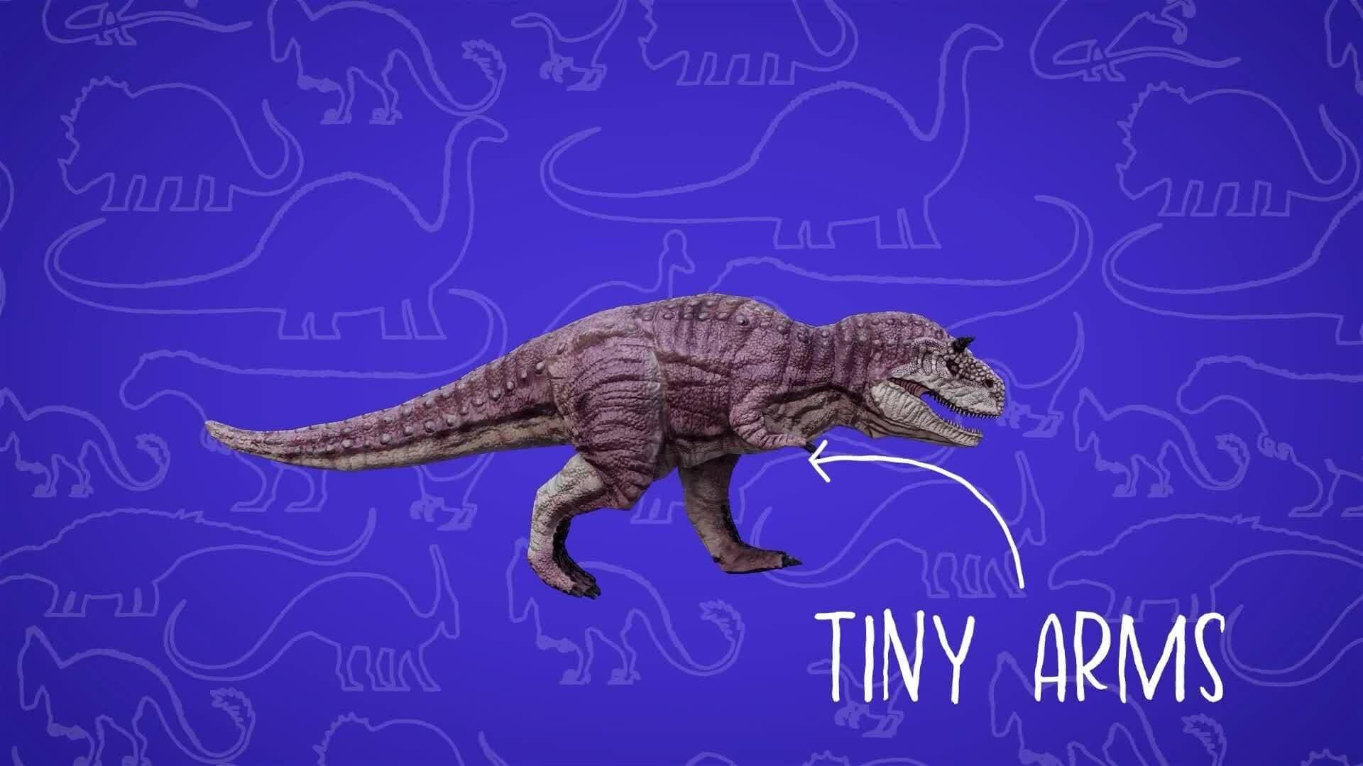 I WONDER - How Big Were The Carnotaurus' Arms?
