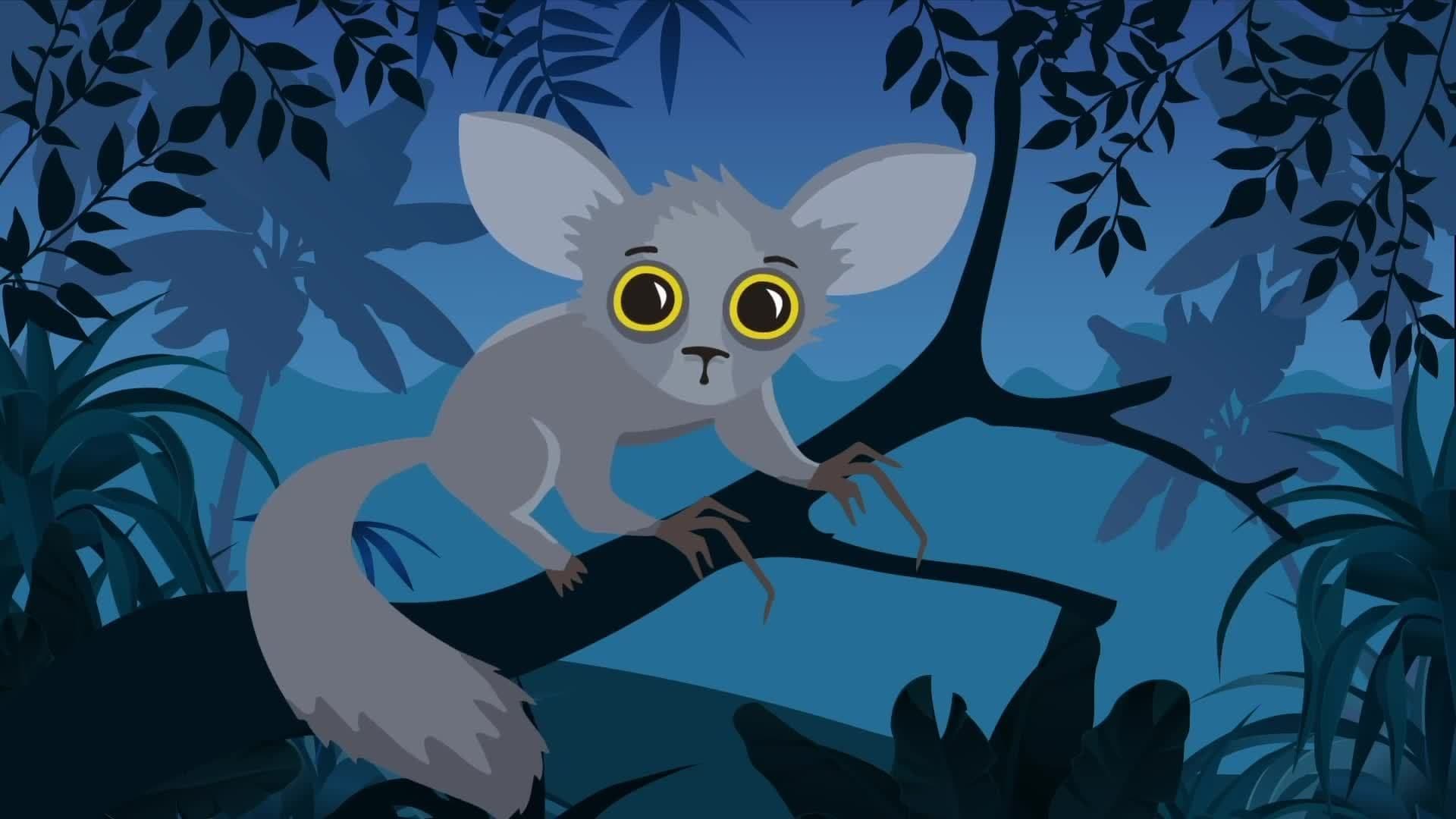 Weird Animal Facts for Kids
