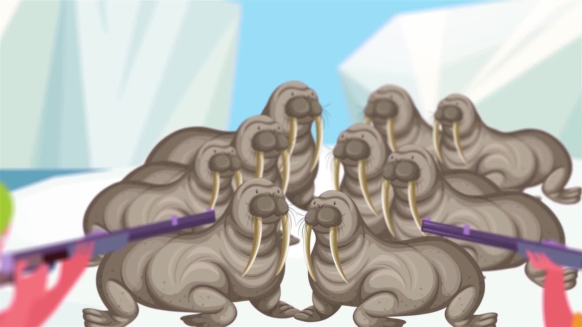 I WONDER - Are Walruses Endangered?