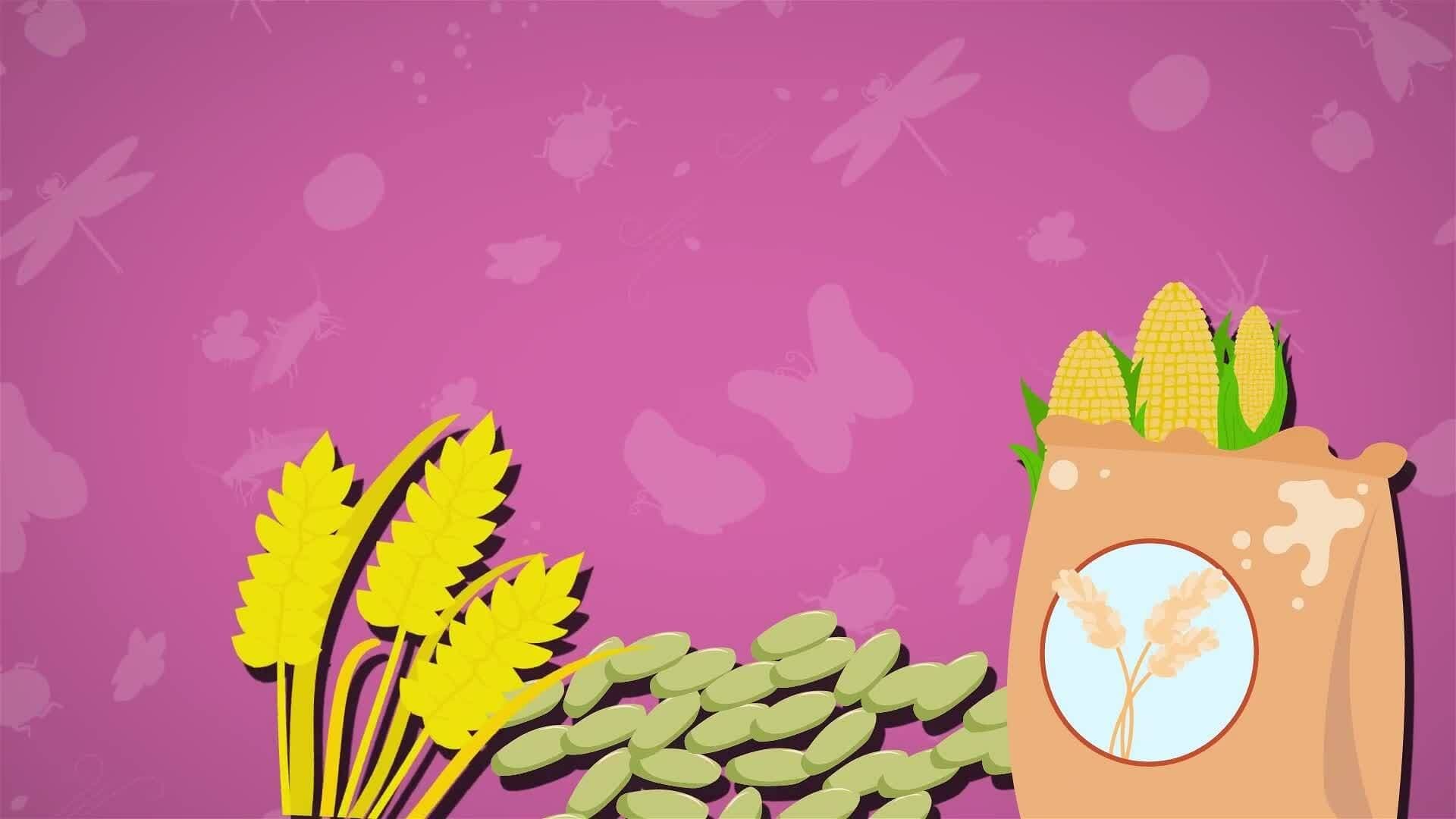 I WONDER - Why Is Pollination Important?