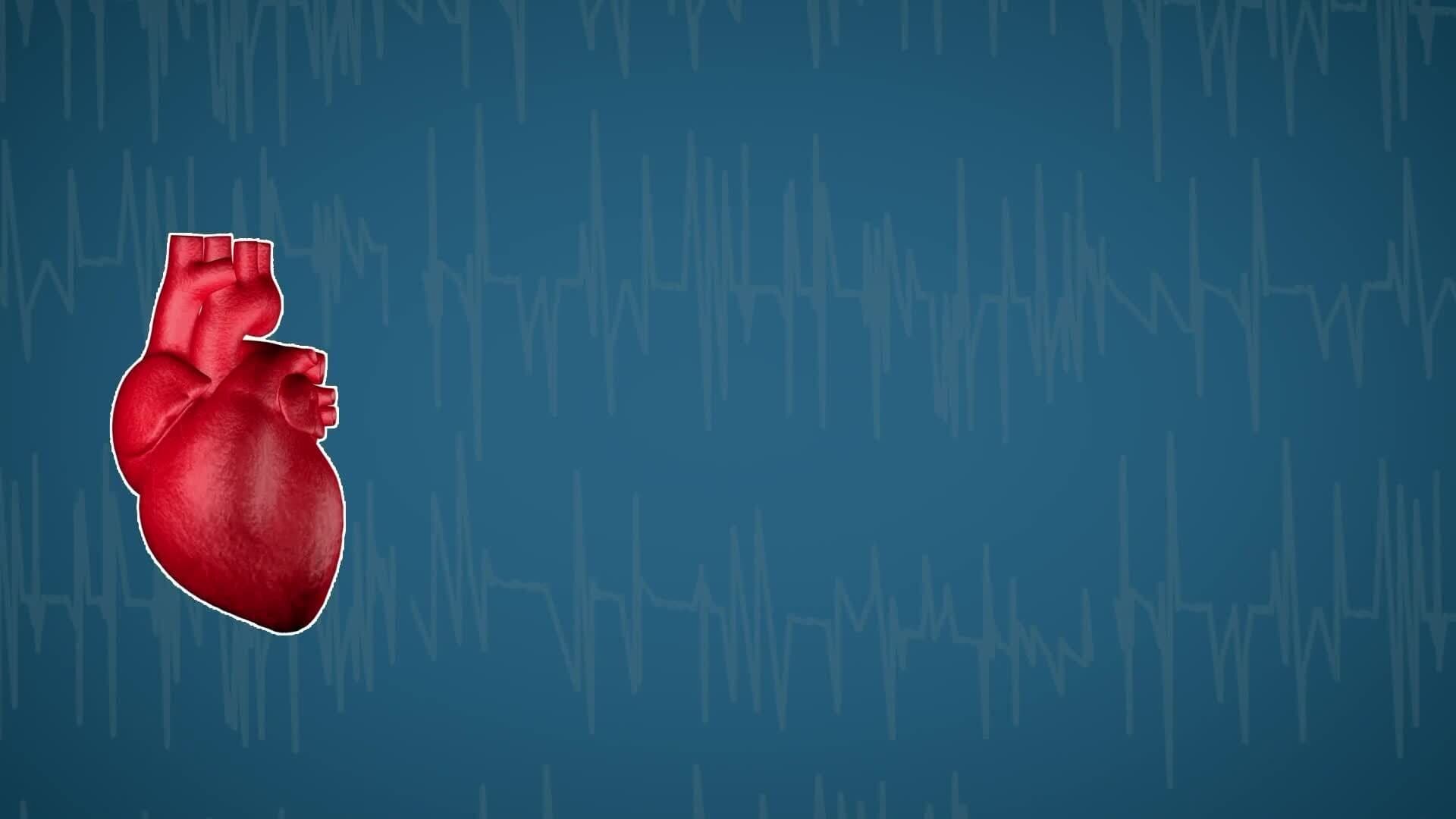 How Does it Work? - Lie Detector